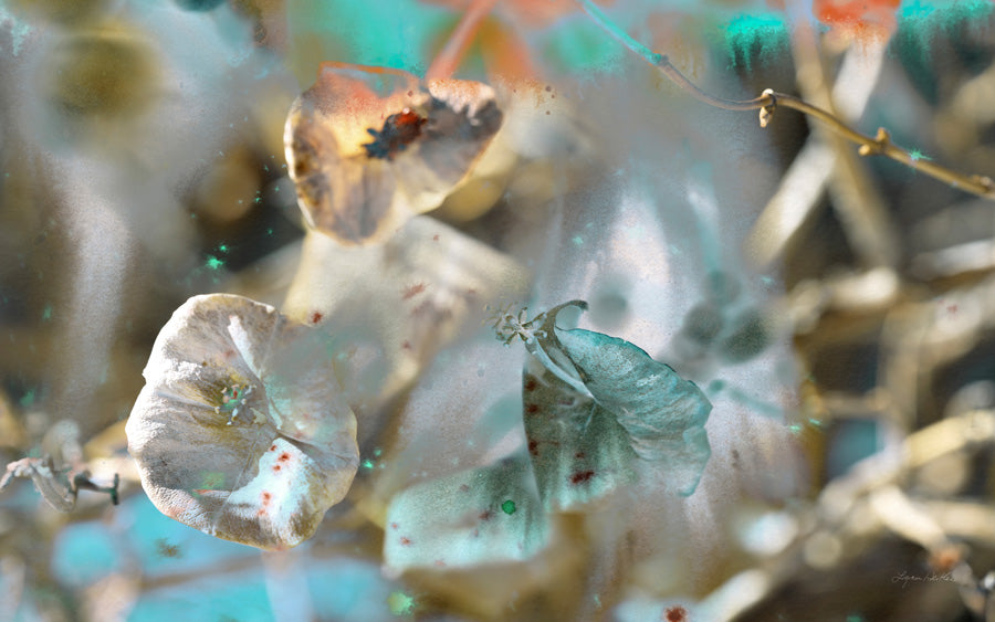 Blue Moon no.4