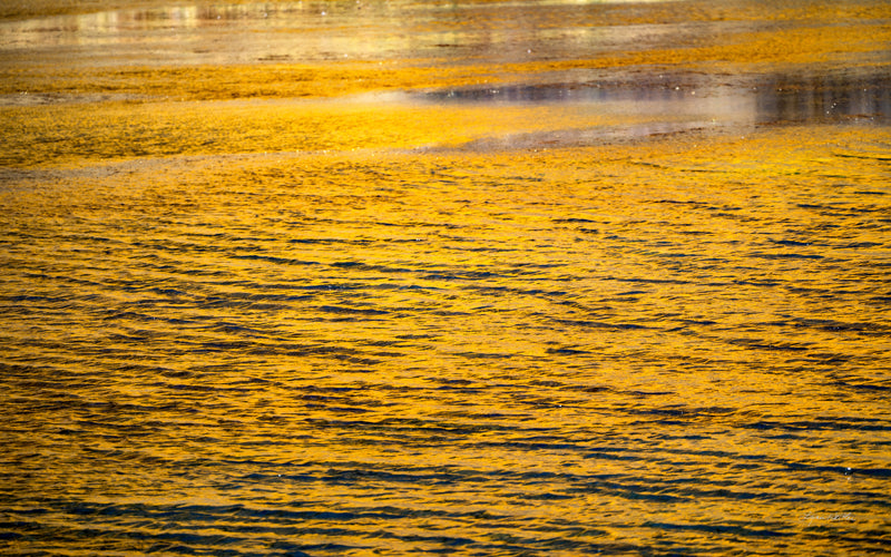 Golden Musings no. 2