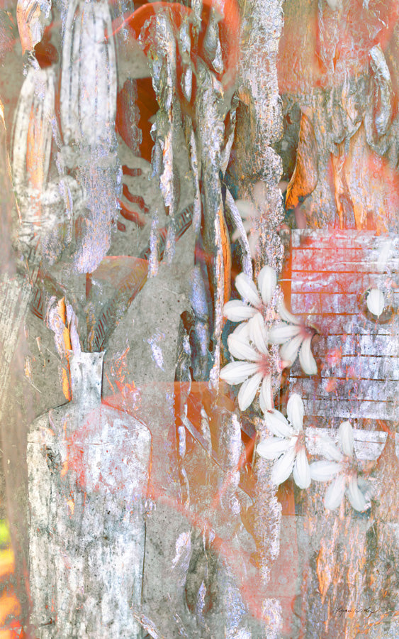 Pompeii no.1
