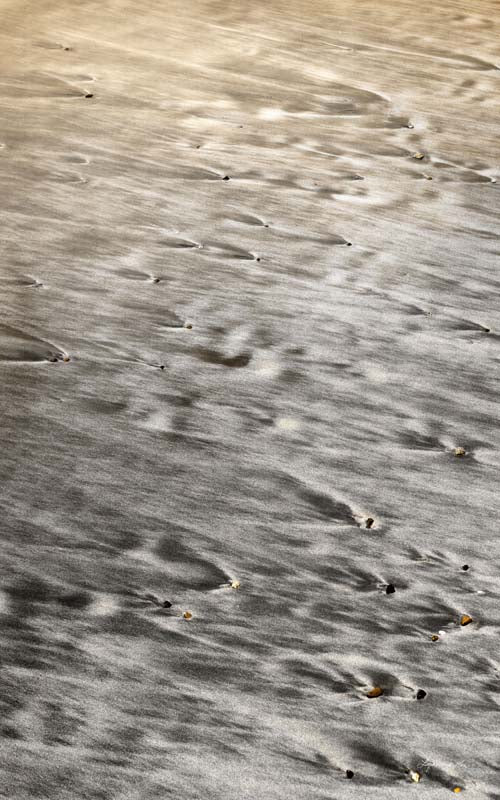 Seaside no. 10