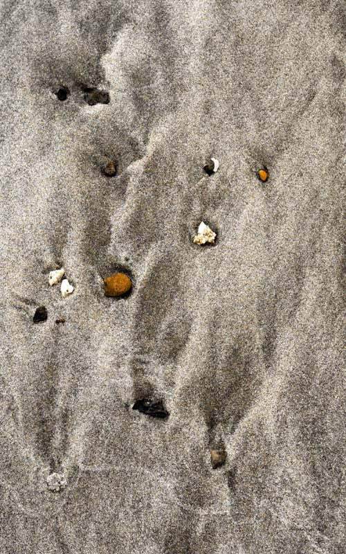 Seaside no. 14