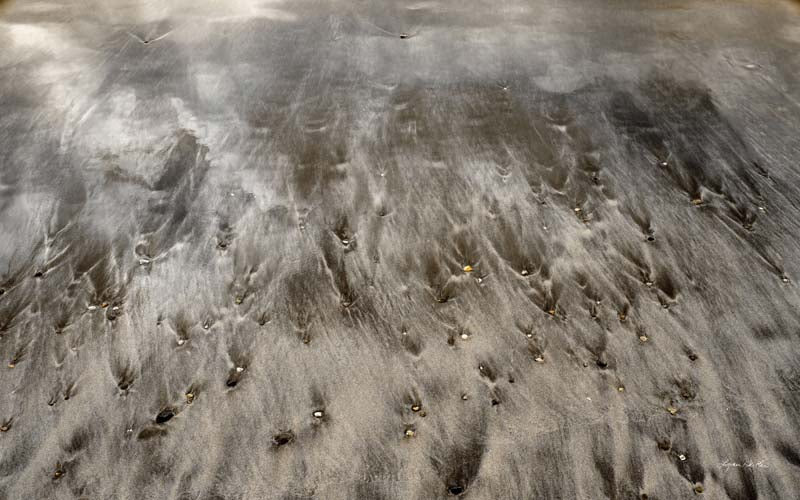 Seaside no. 16