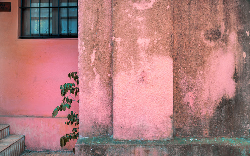 A Quiet Street no. 12