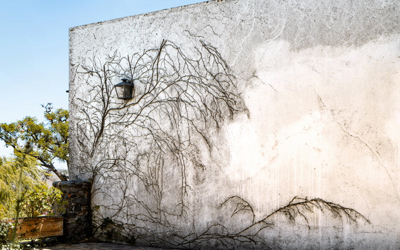 A Quiet Street no. 13