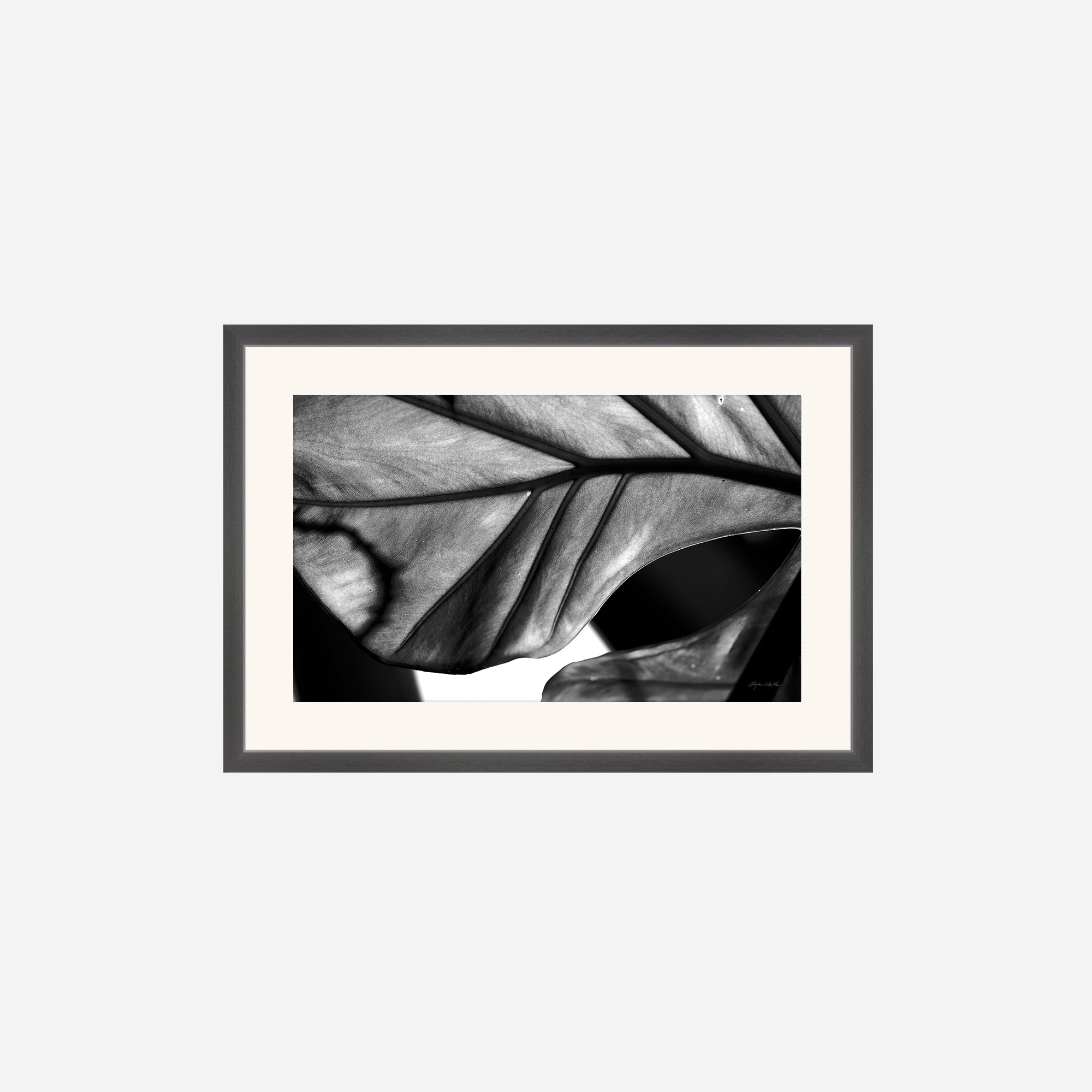 Black and White no. 2