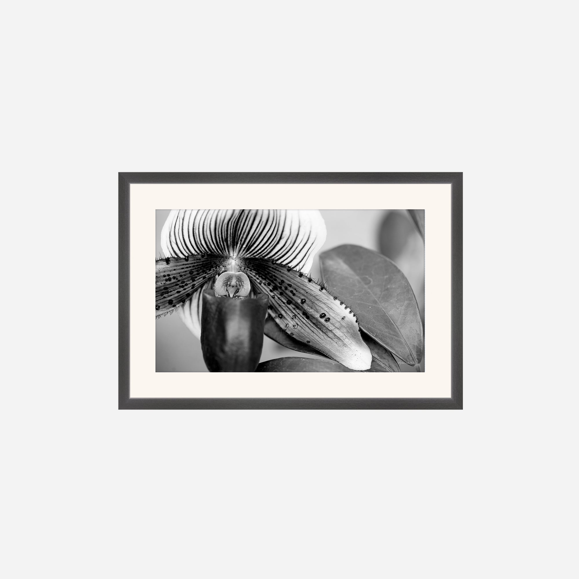 Black and White no. 1