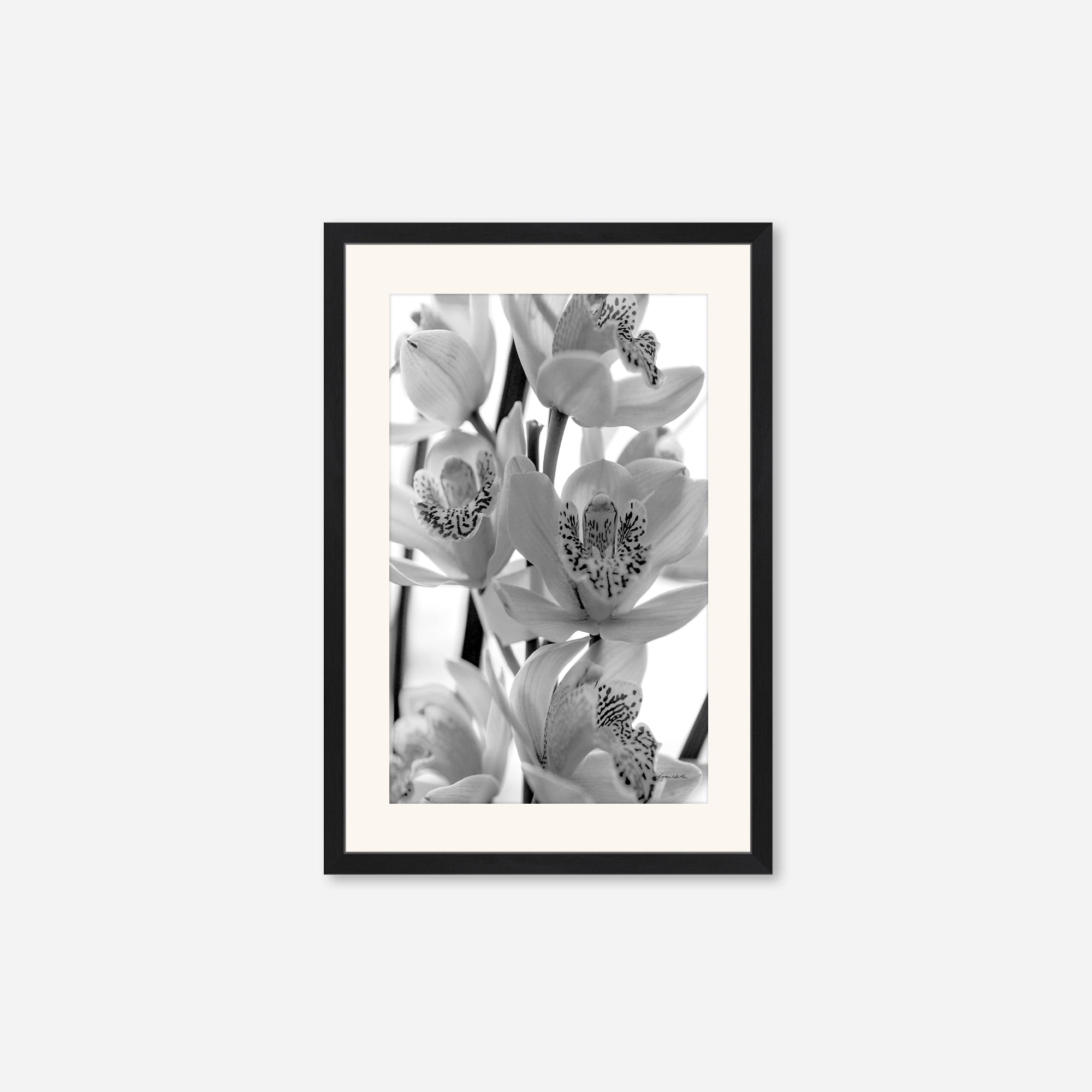 Black and White no. 3