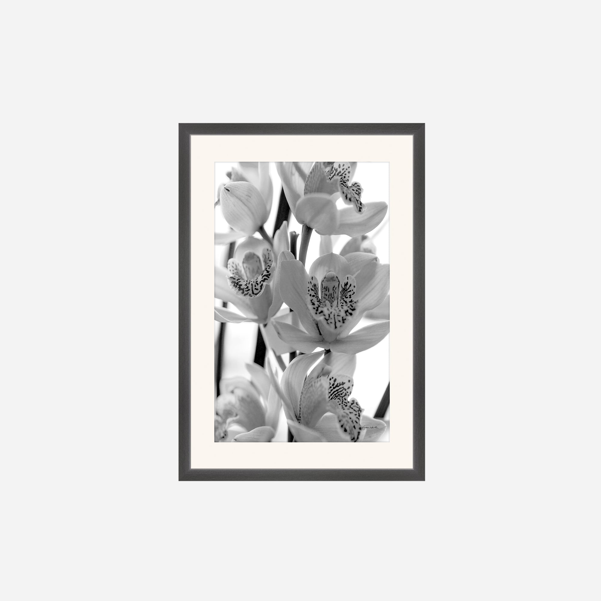 Black and White no. 3