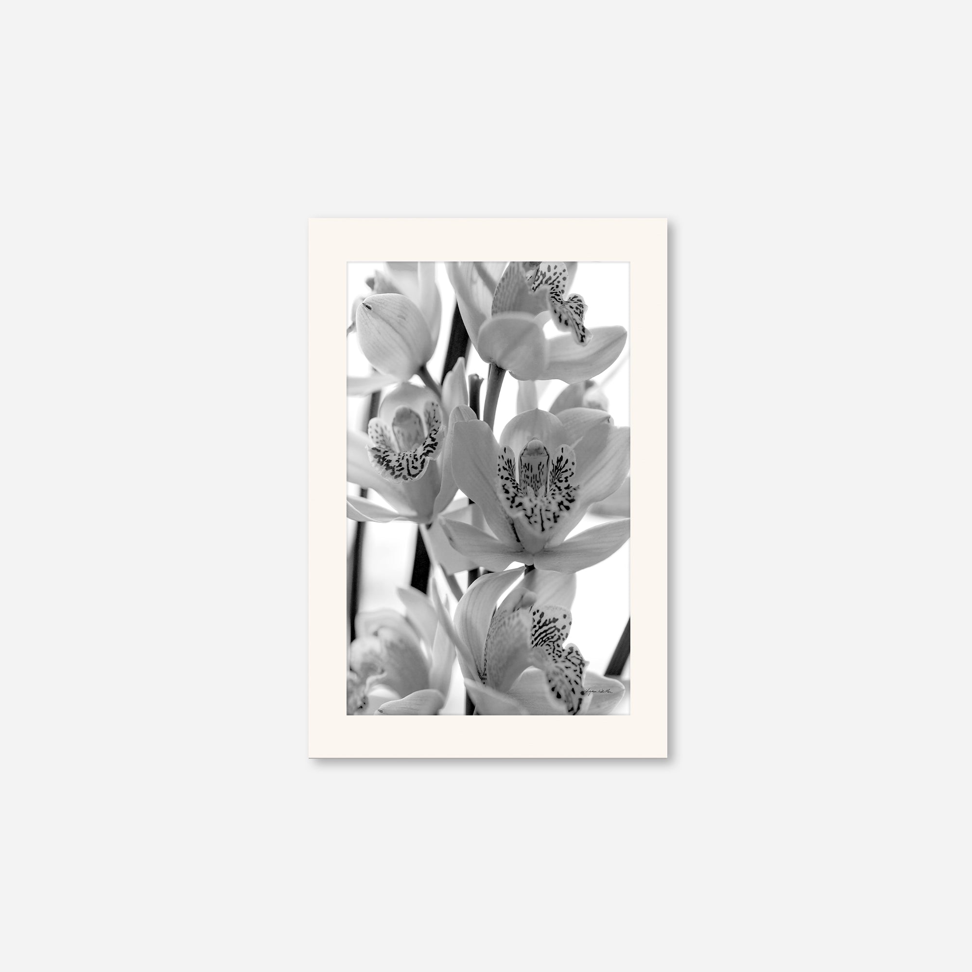 Black and White no. 3