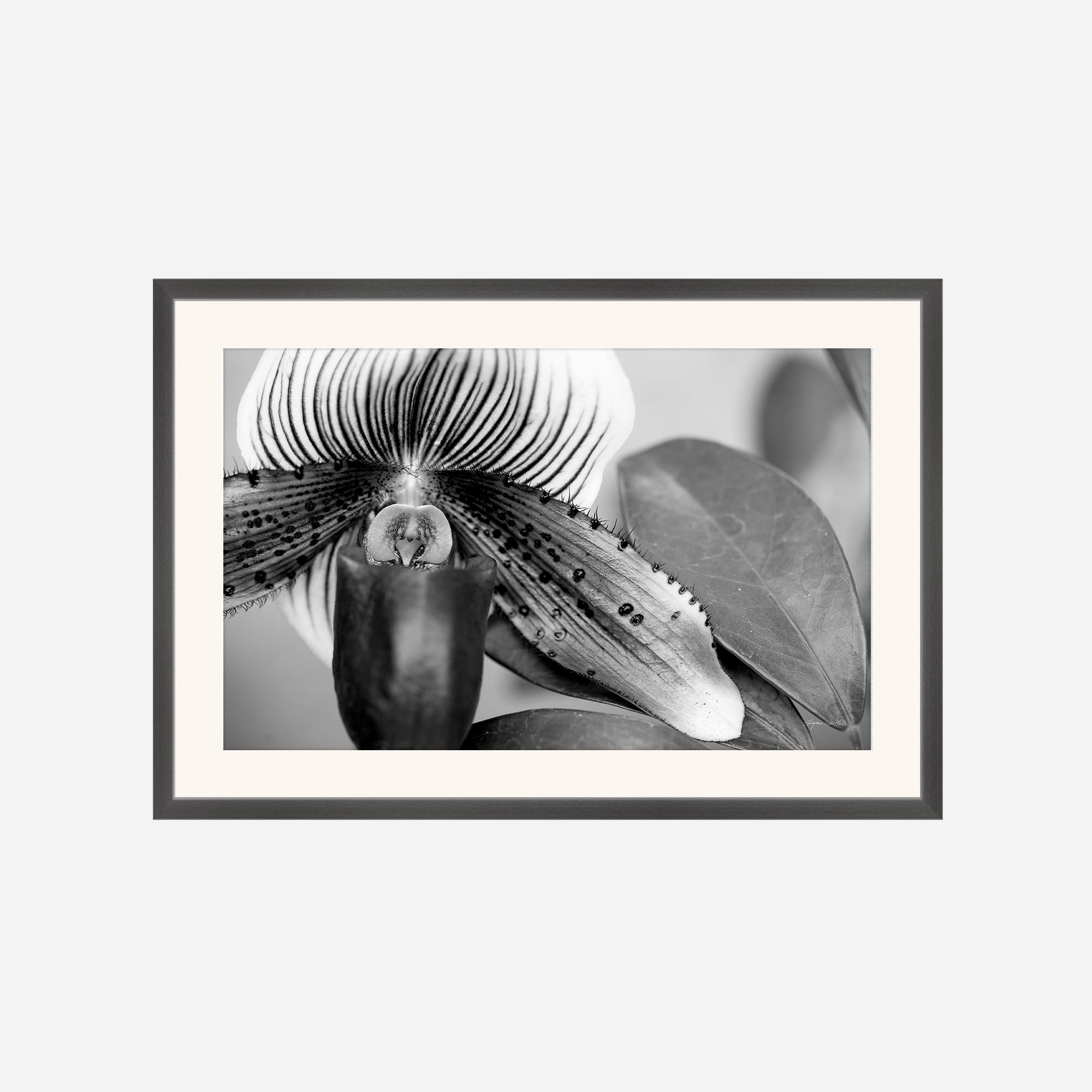 Black and White no. 1