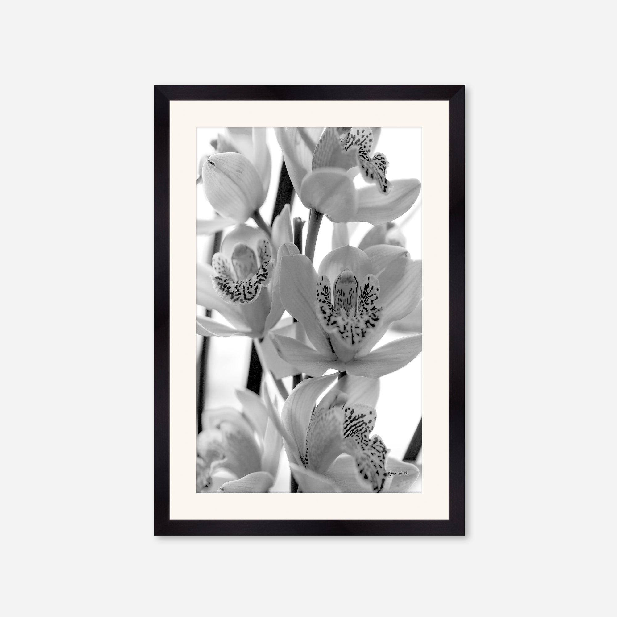 Black and White no. 3