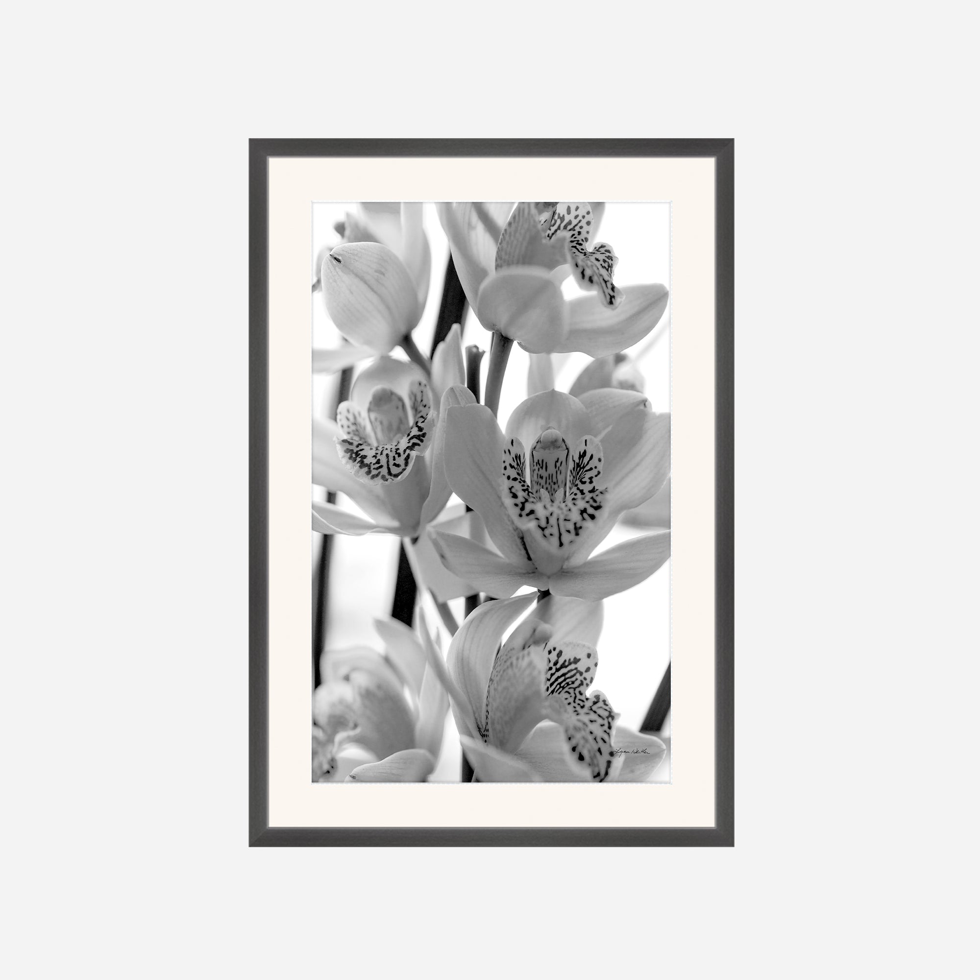 Black and White no. 3