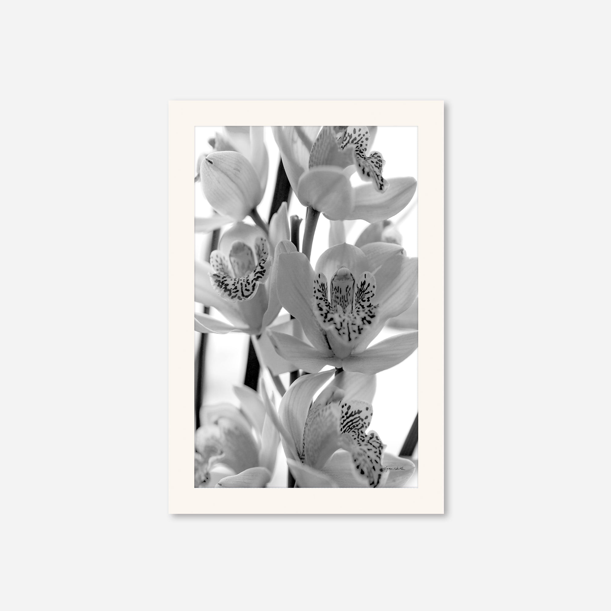 Black and White no. 3