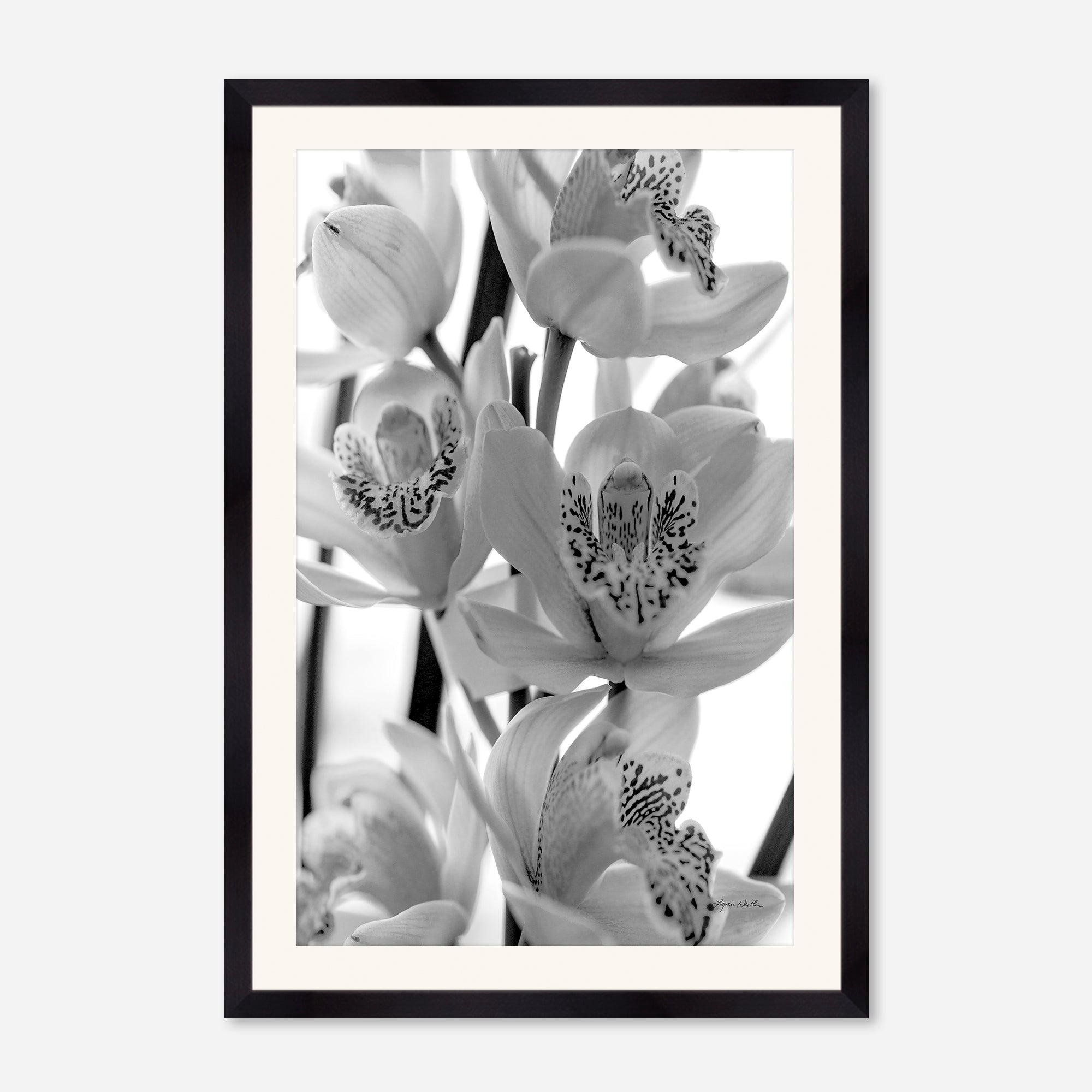 Black and White no. 3