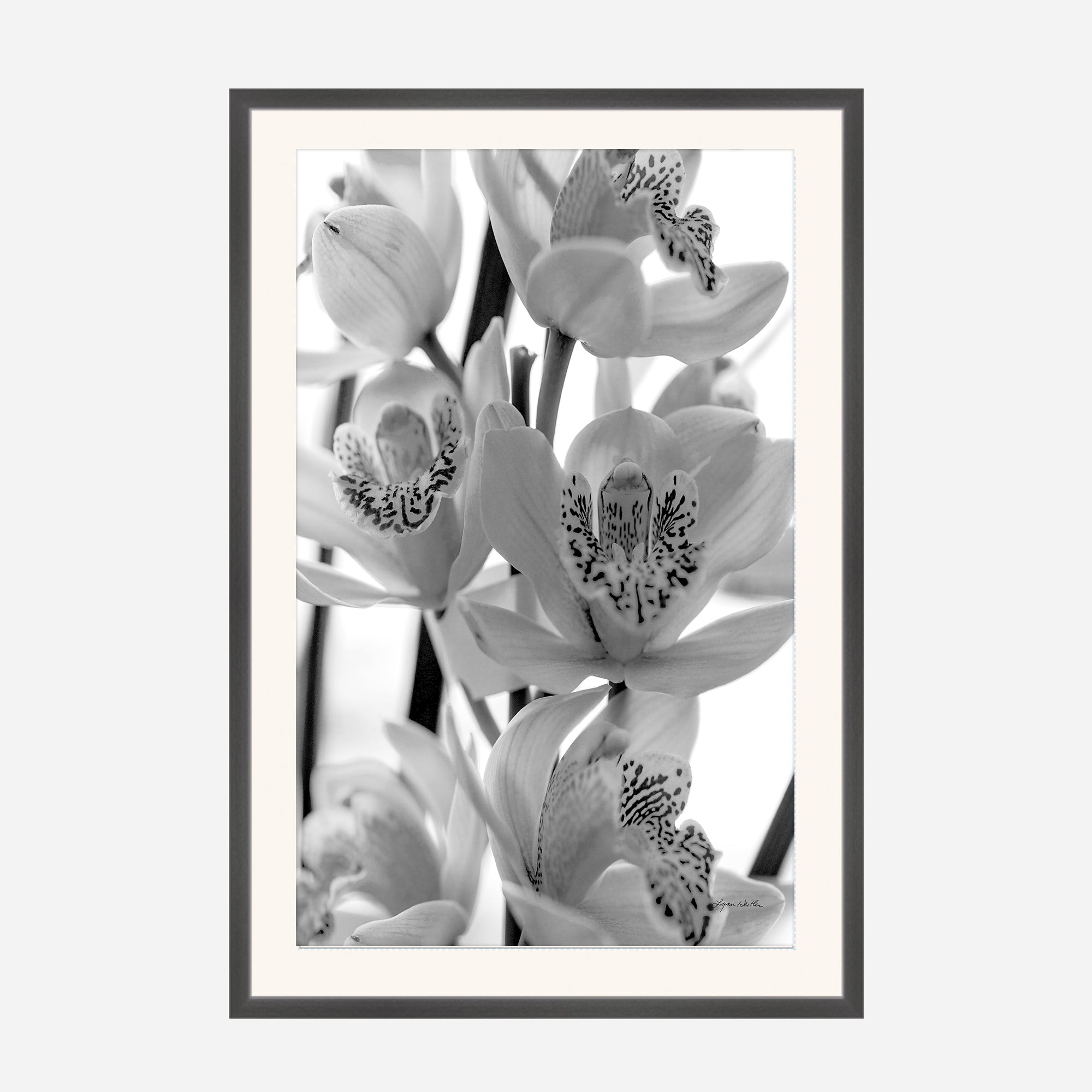 Black and White no. 3
