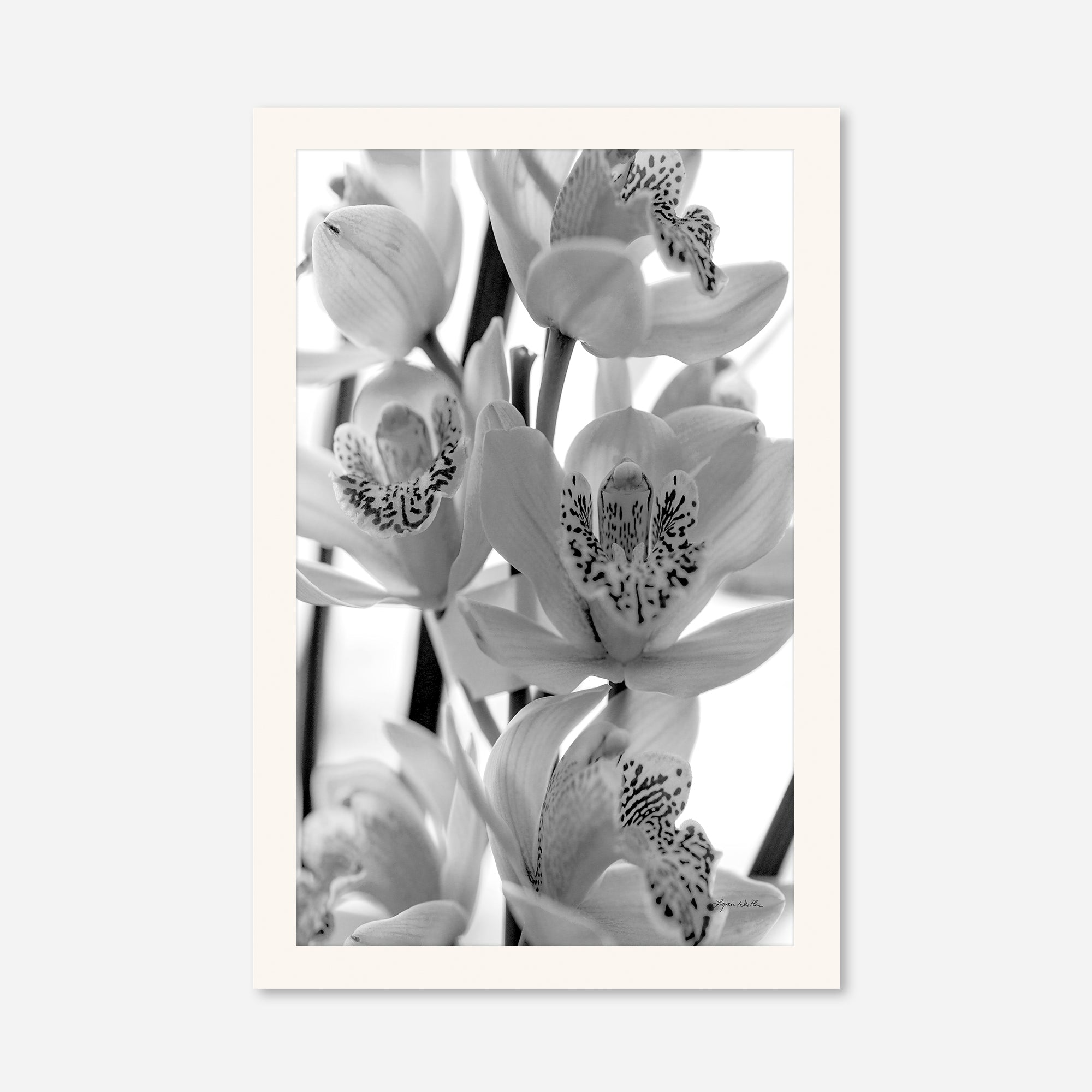 Black and White no. 3