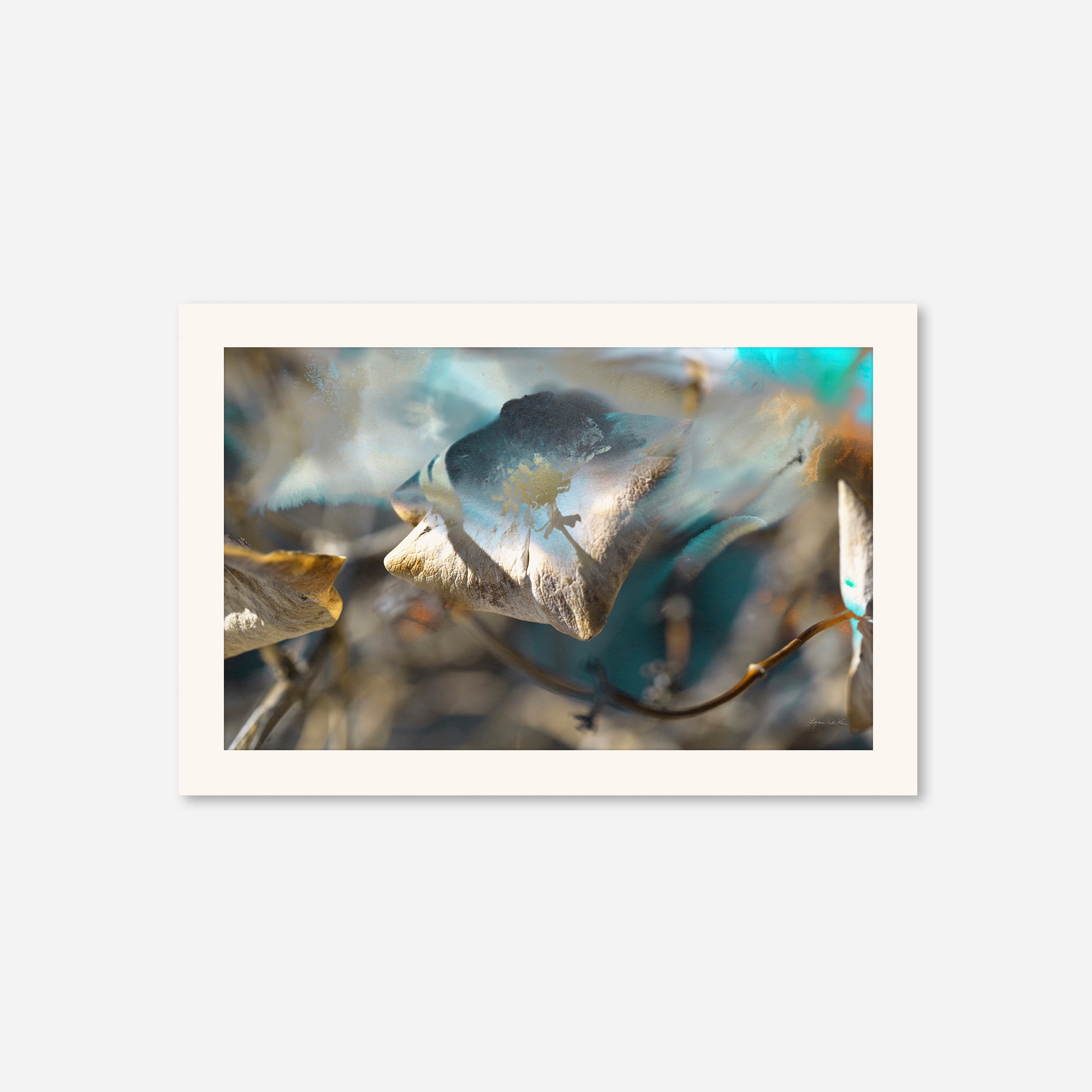Blue Moon  no.2