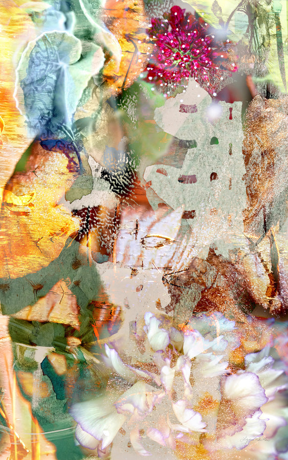 Caprice  no.5