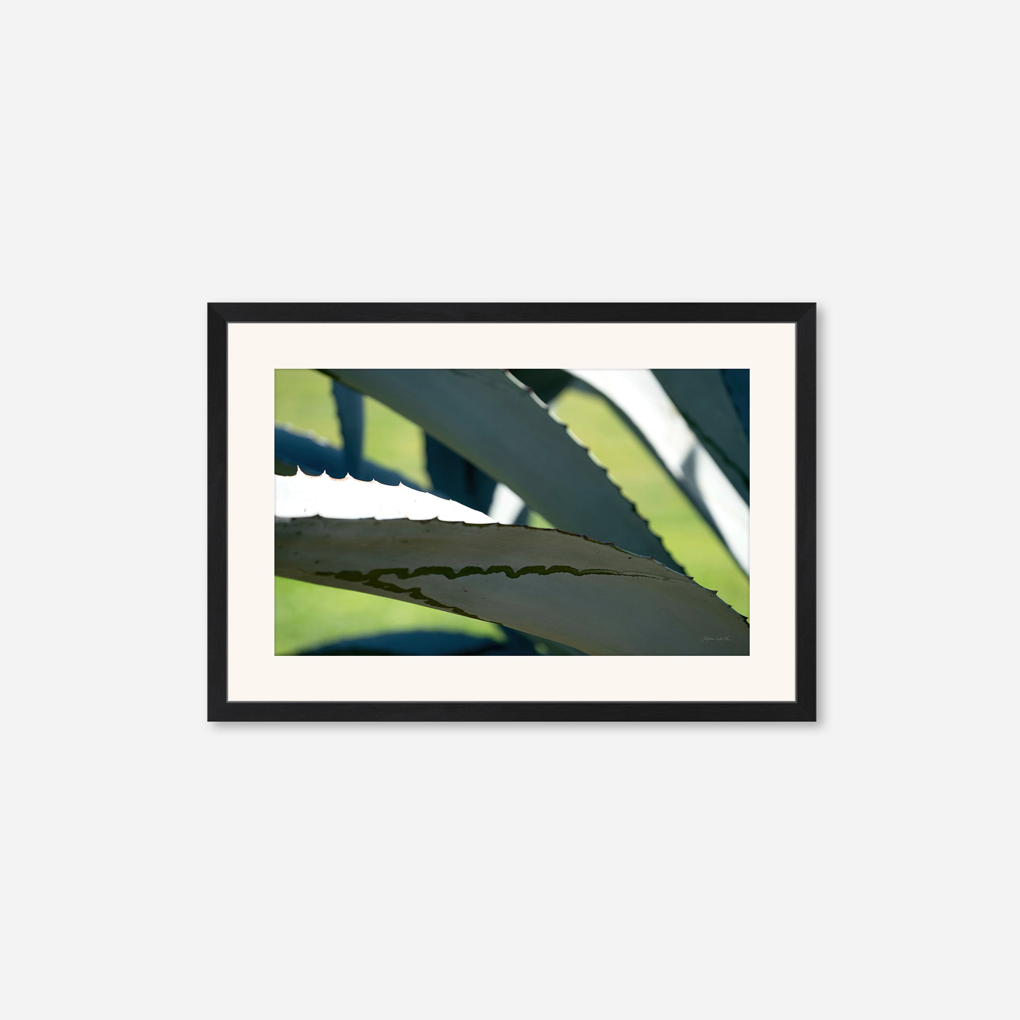 Desert Art no. 5