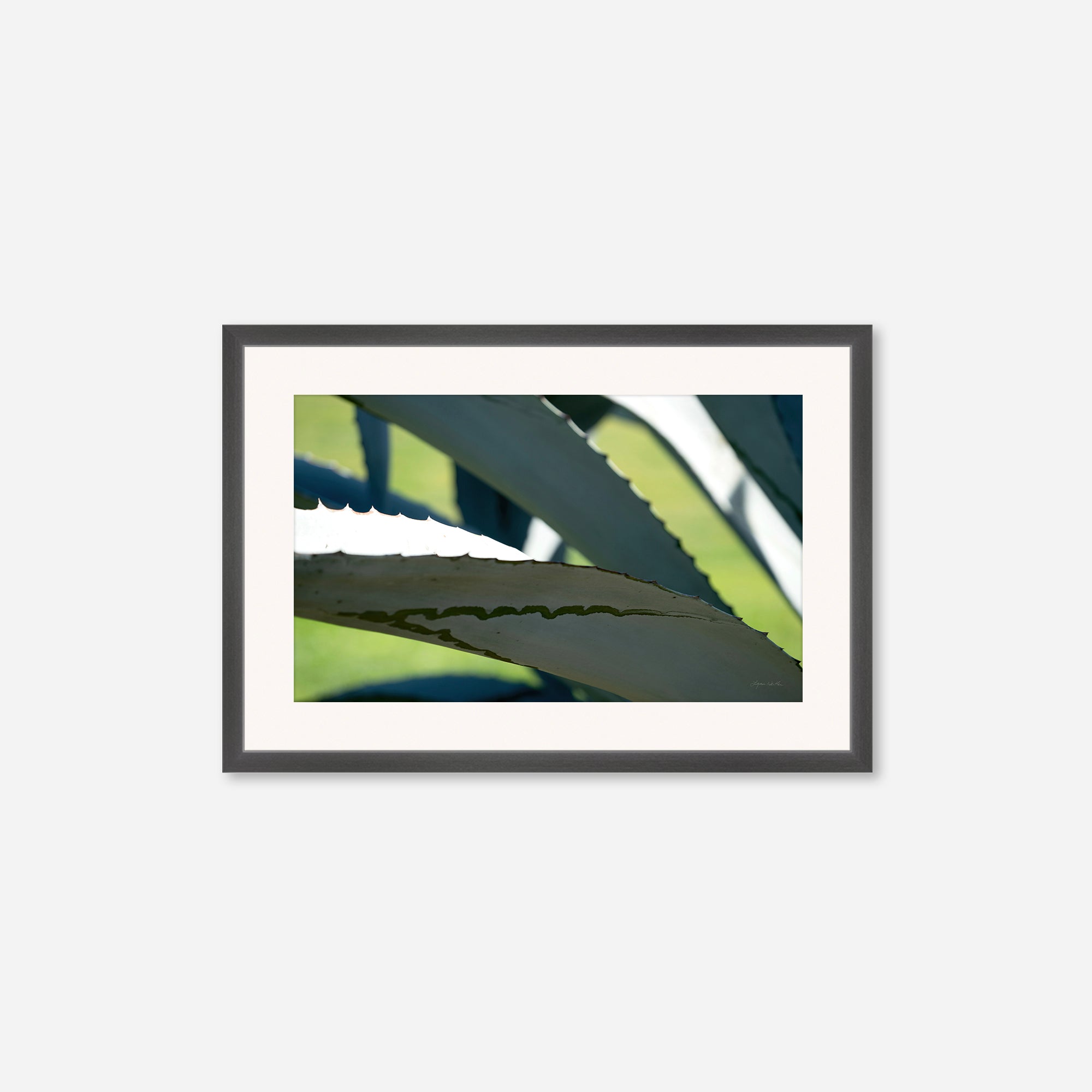 Desert Art no. 5