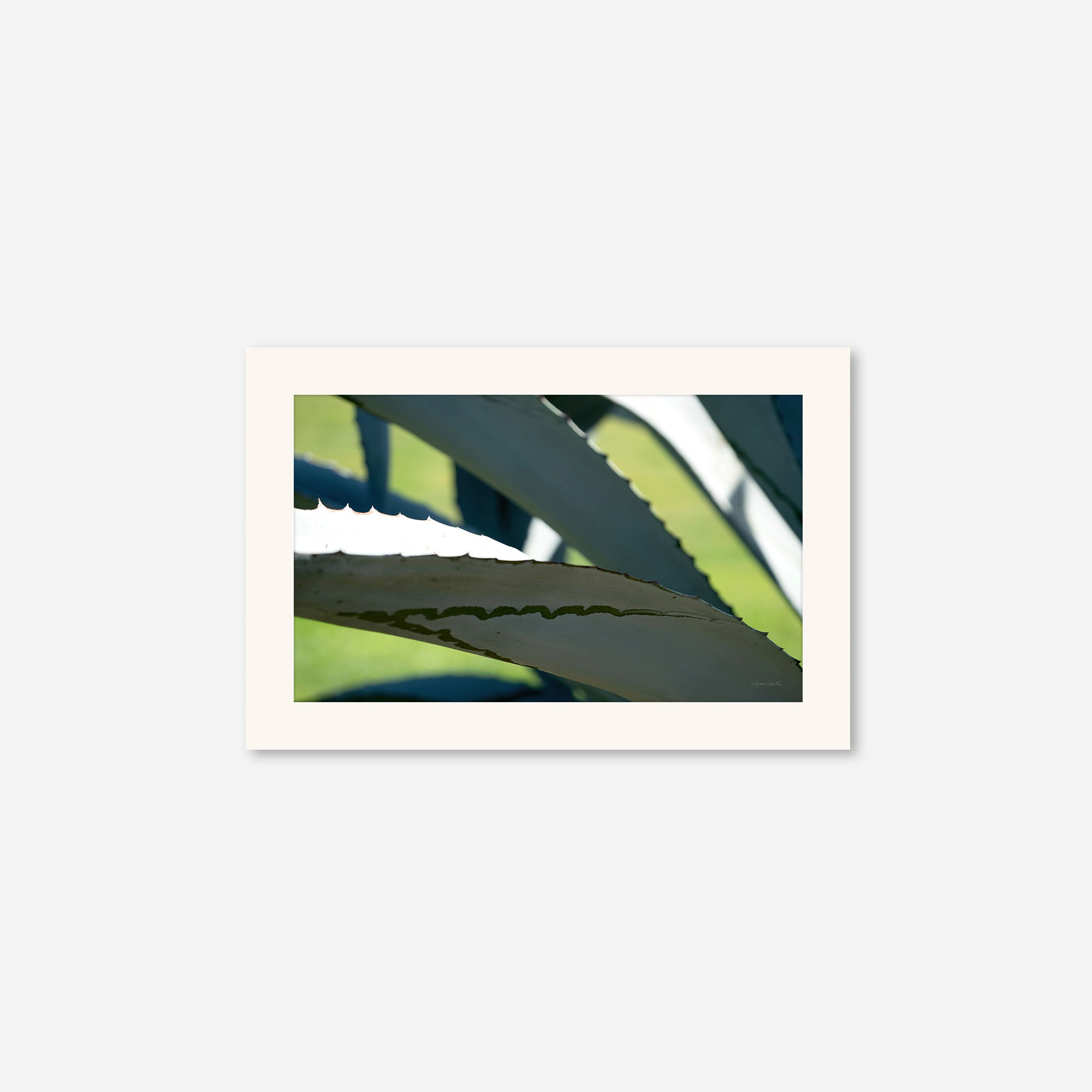 Desert Art no. 5