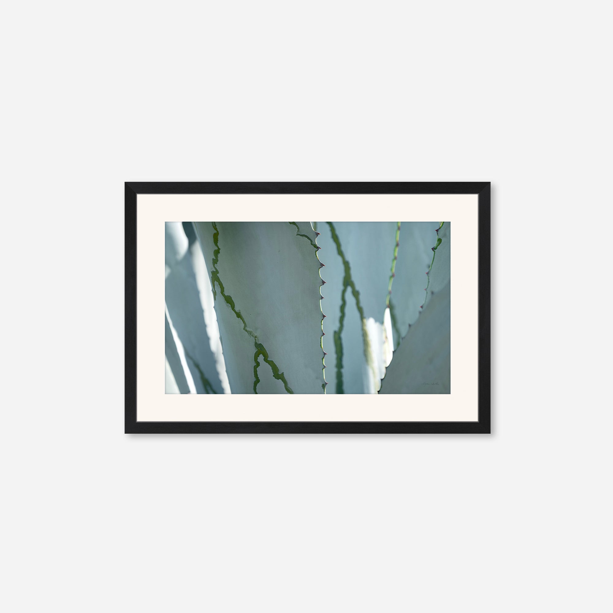 Desert Art no. 6