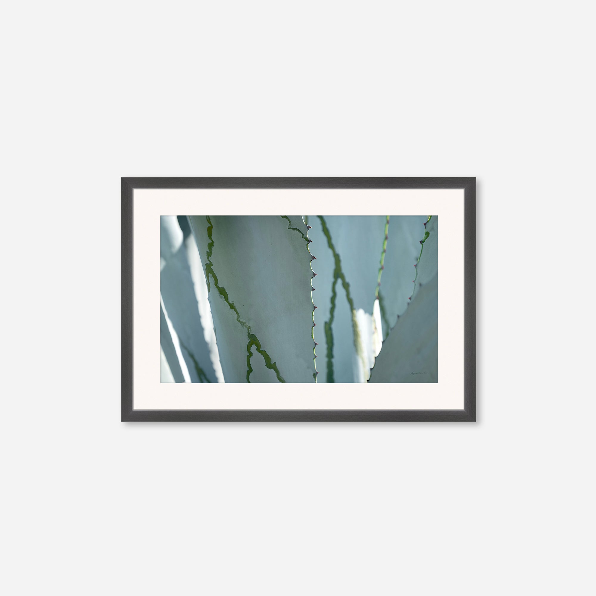 Desert Art no. 6
