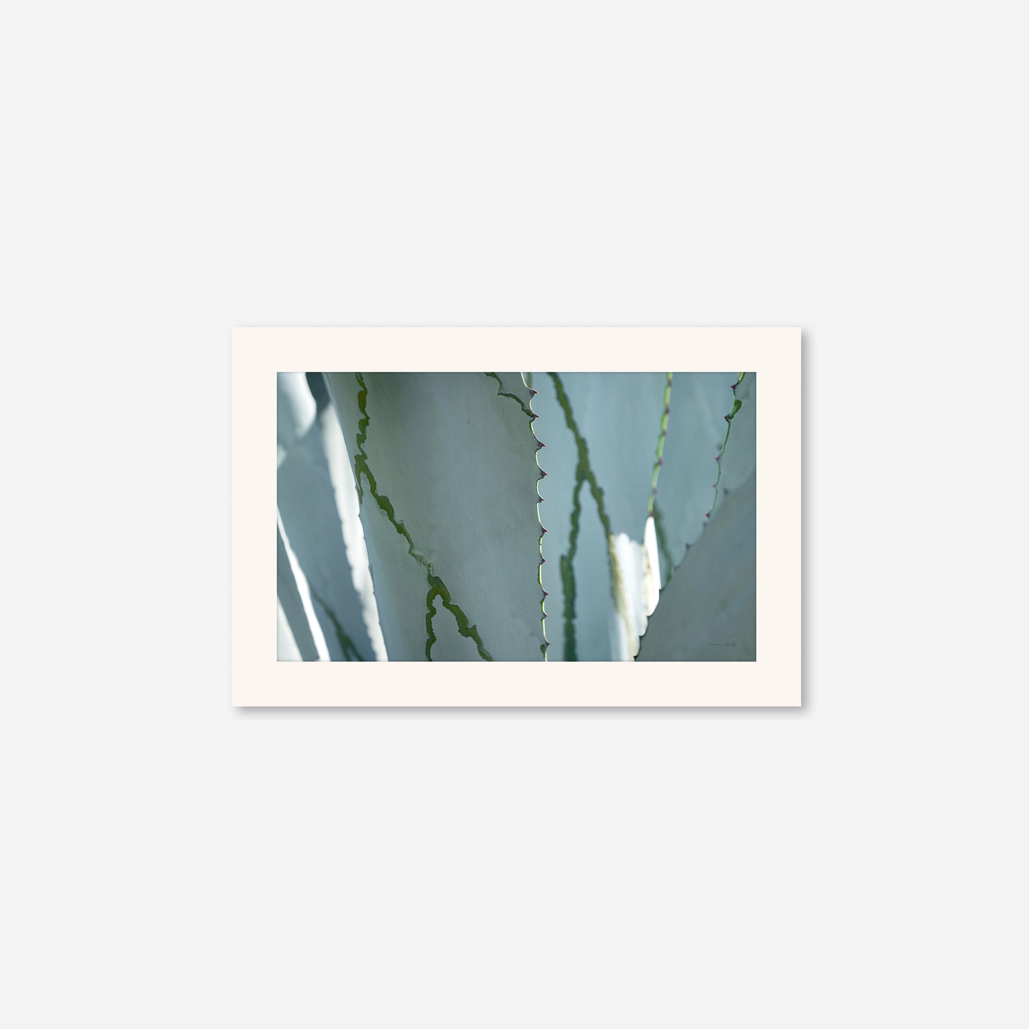 Desert Art no. 6