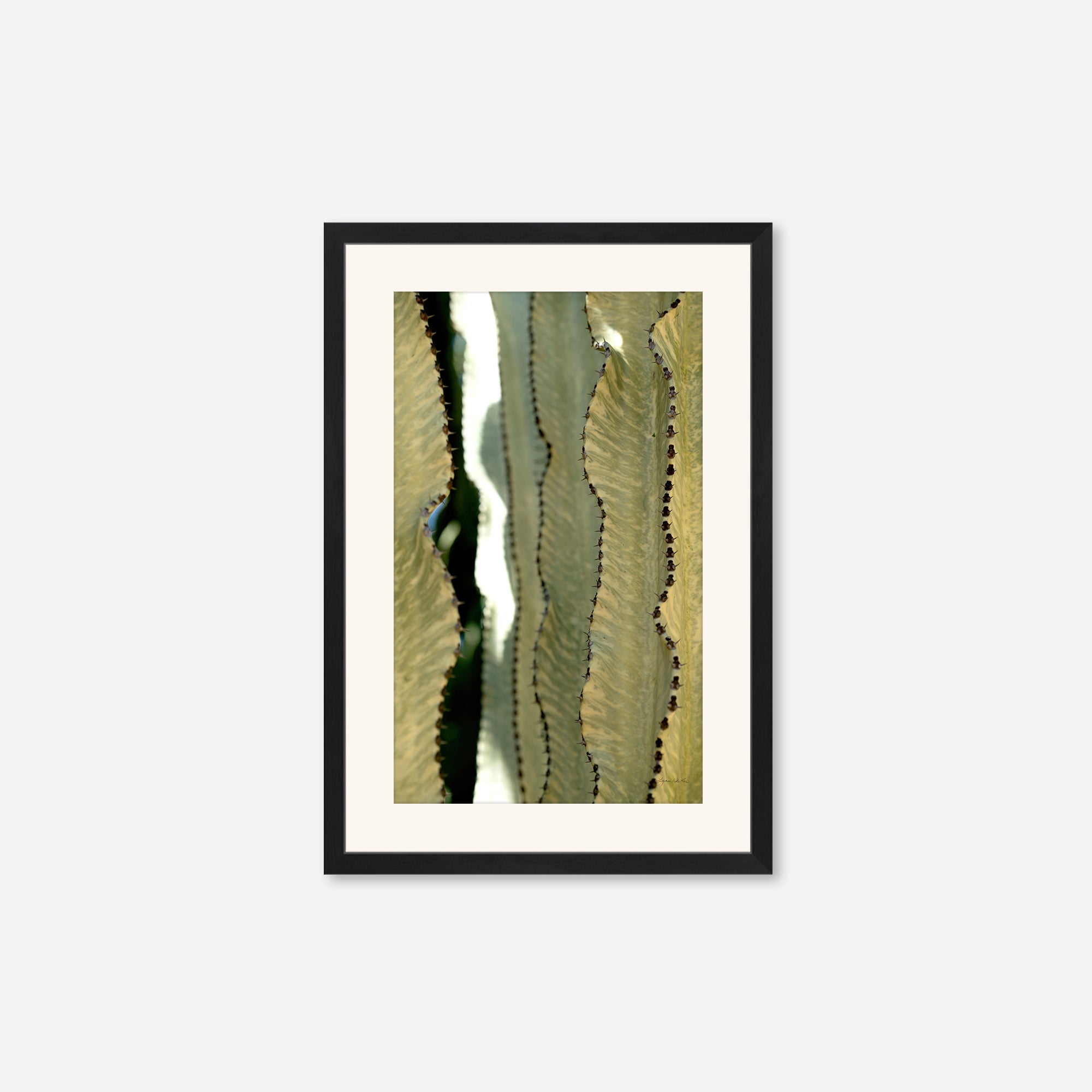 Desert Art no. 11