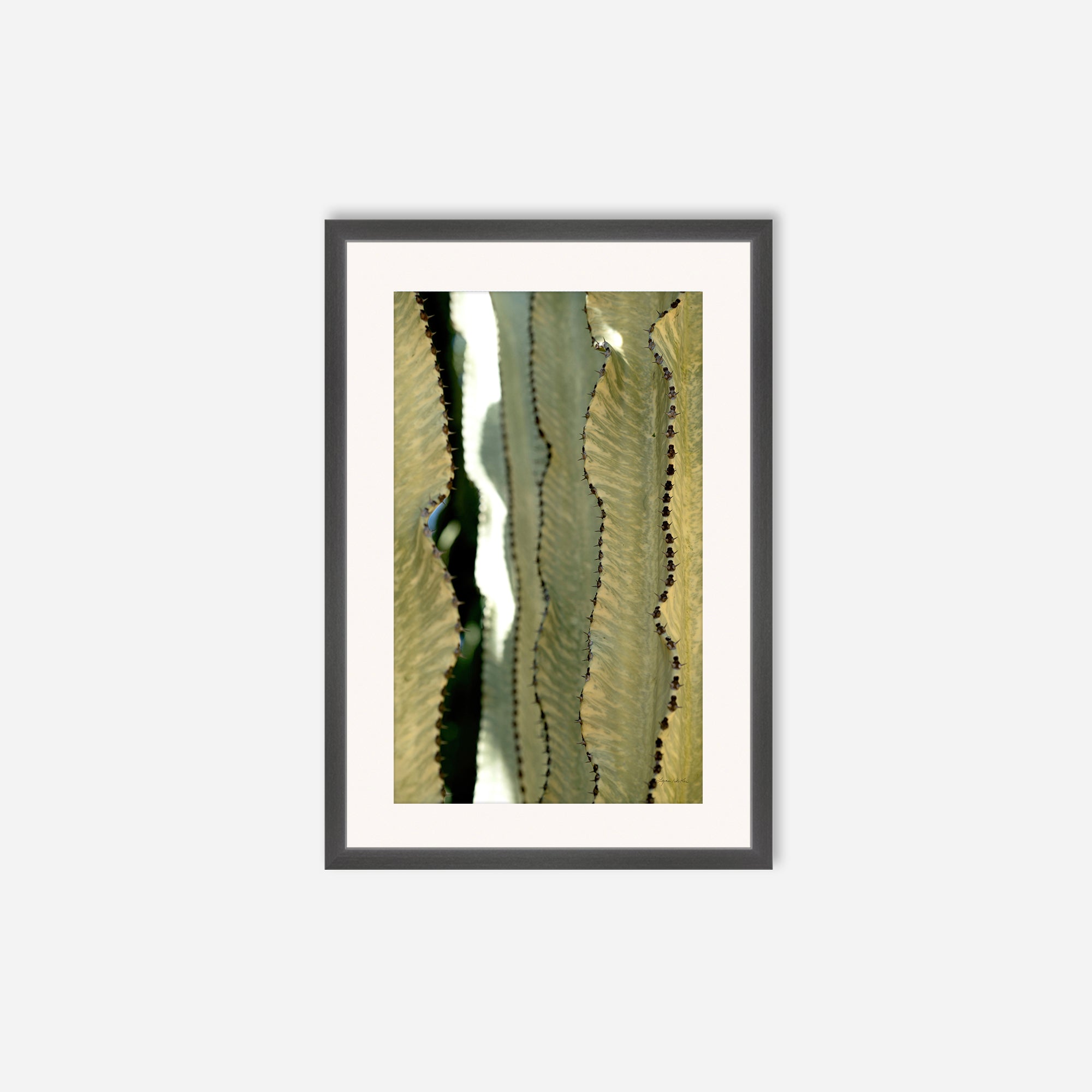 Desert Art no. 11