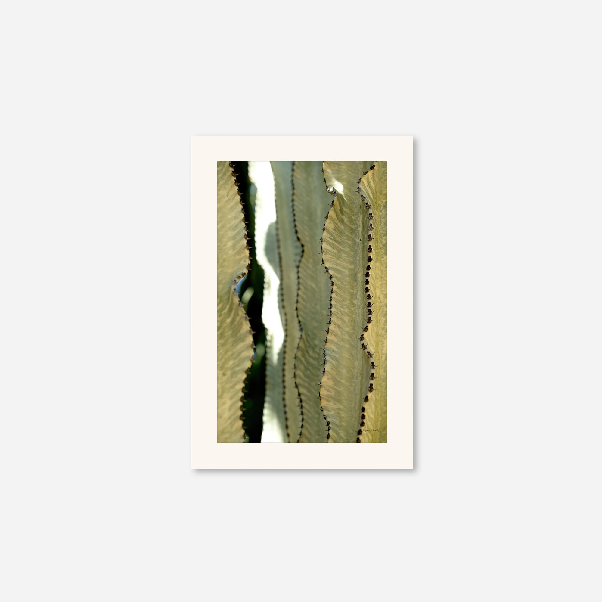 Desert Art no. 11