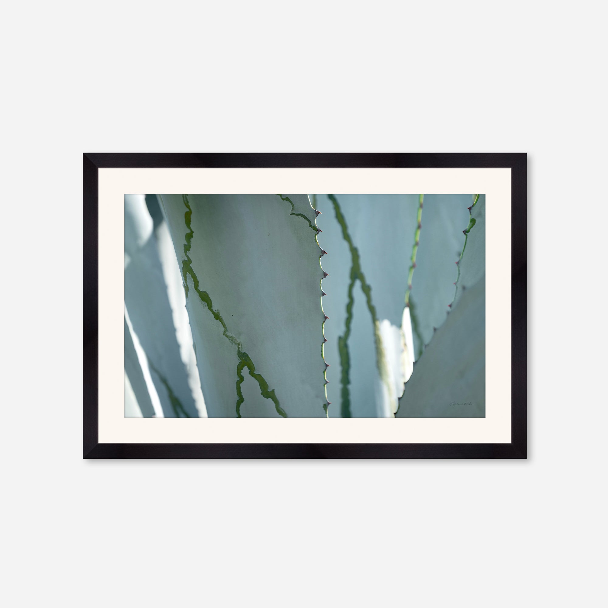 Desert Art no. 6