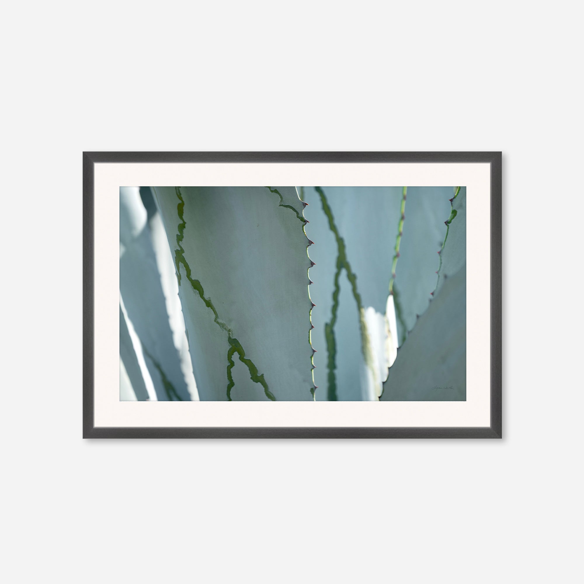 Desert Art no. 6