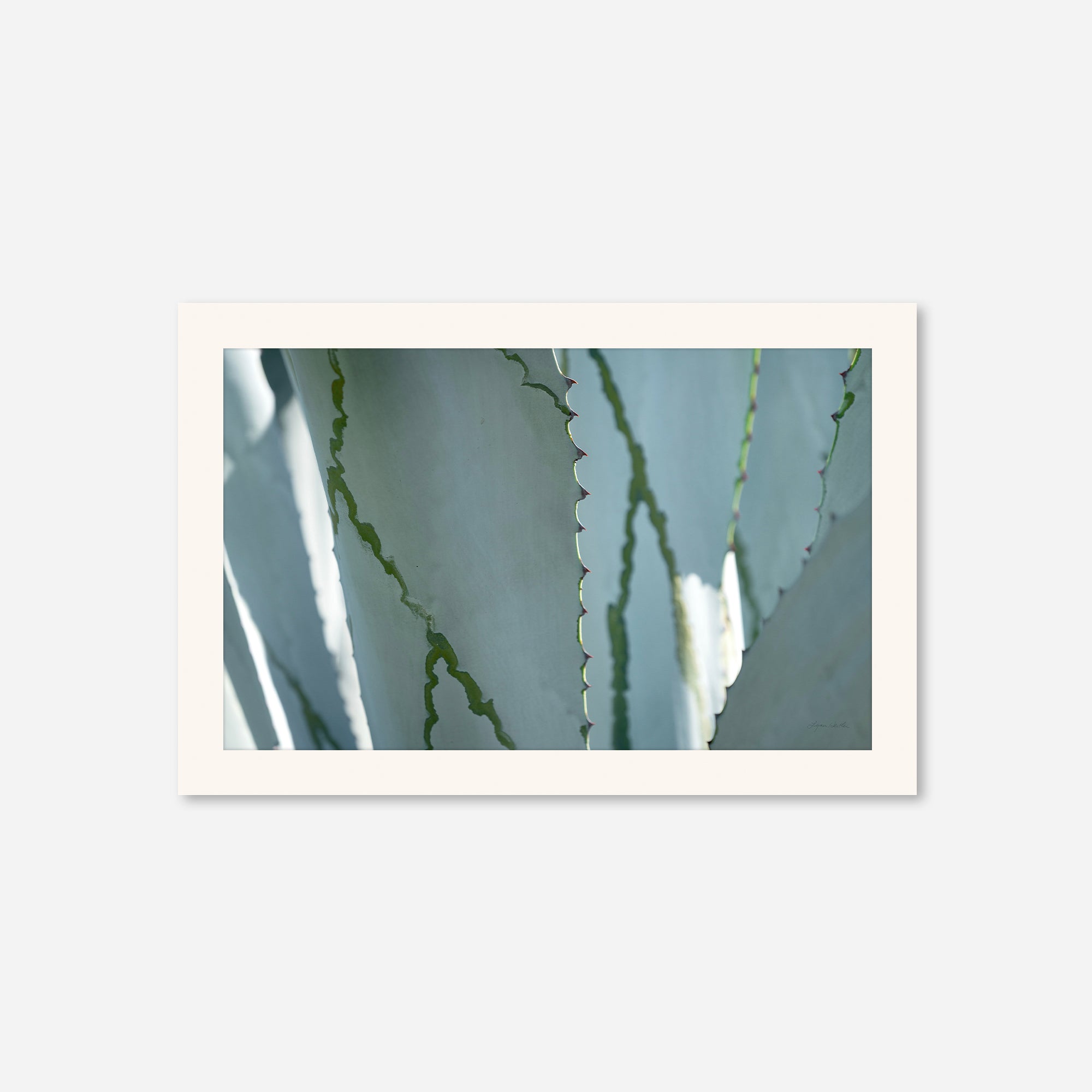 Desert Art no. 6