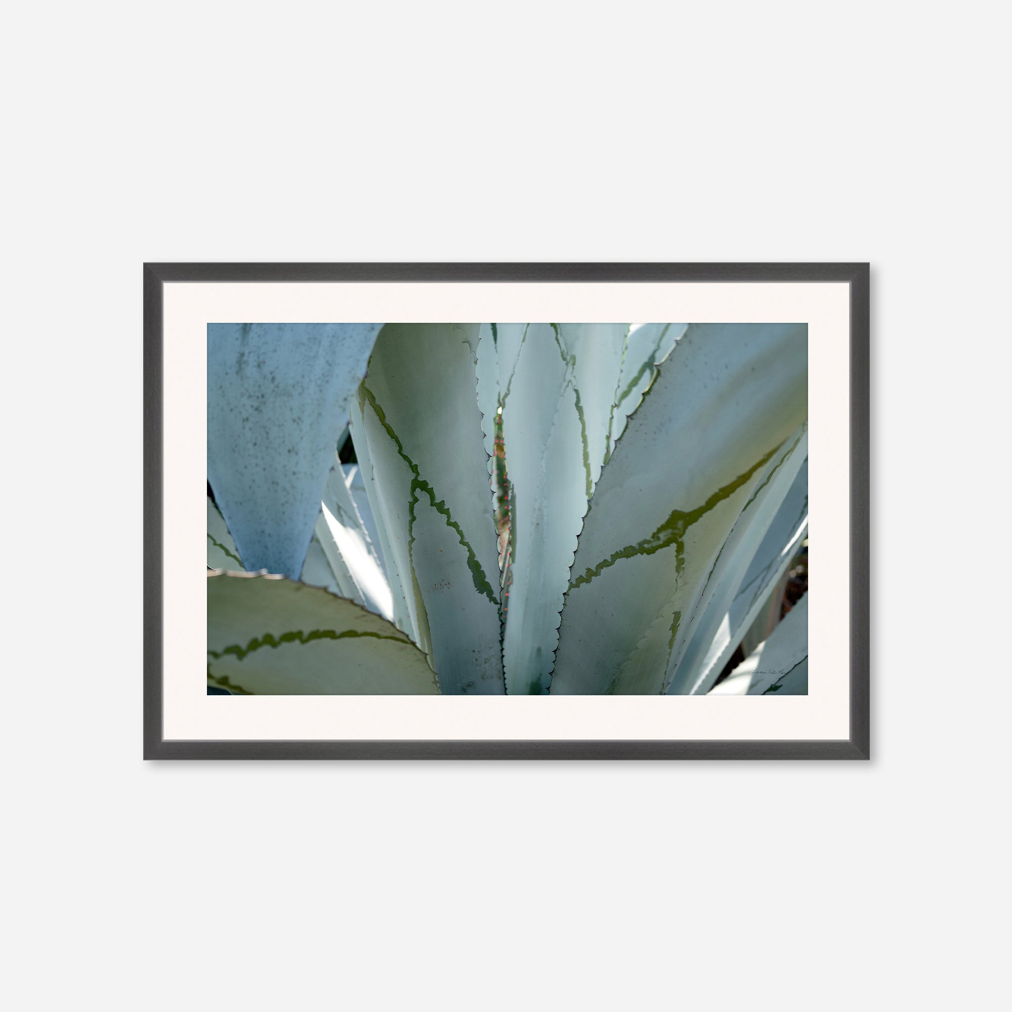 Desert Art no. 7