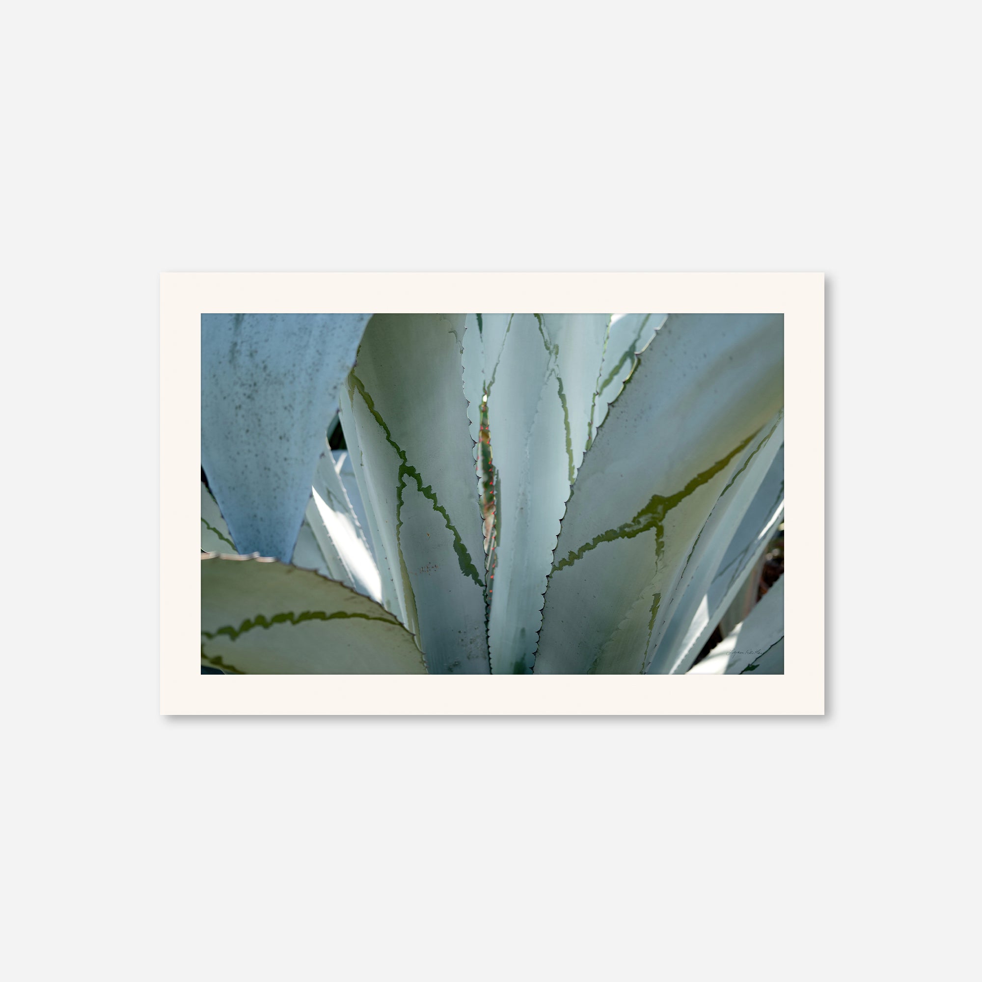 Desert Art no. 7