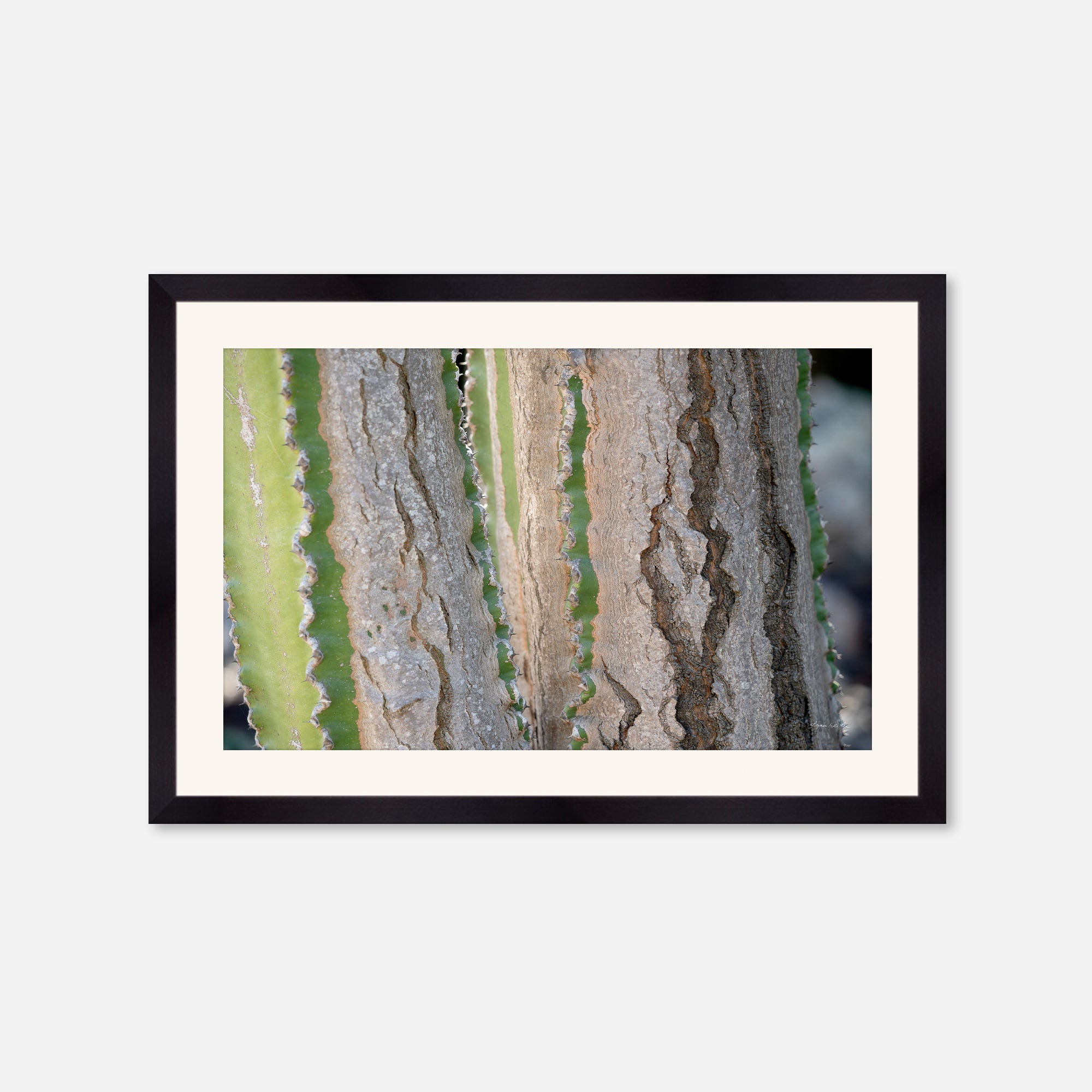 Desert Art no. 12