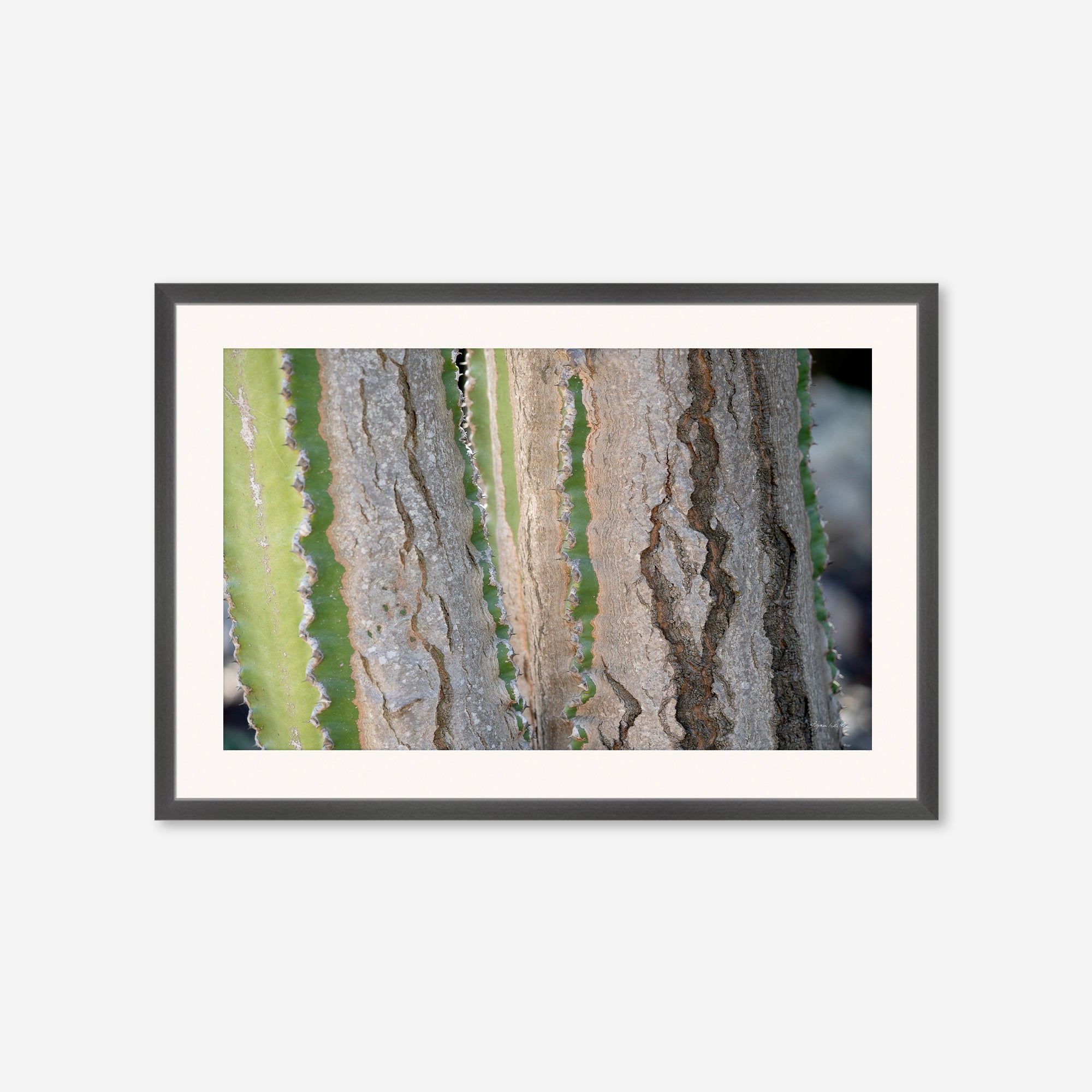 Desert Art no. 12