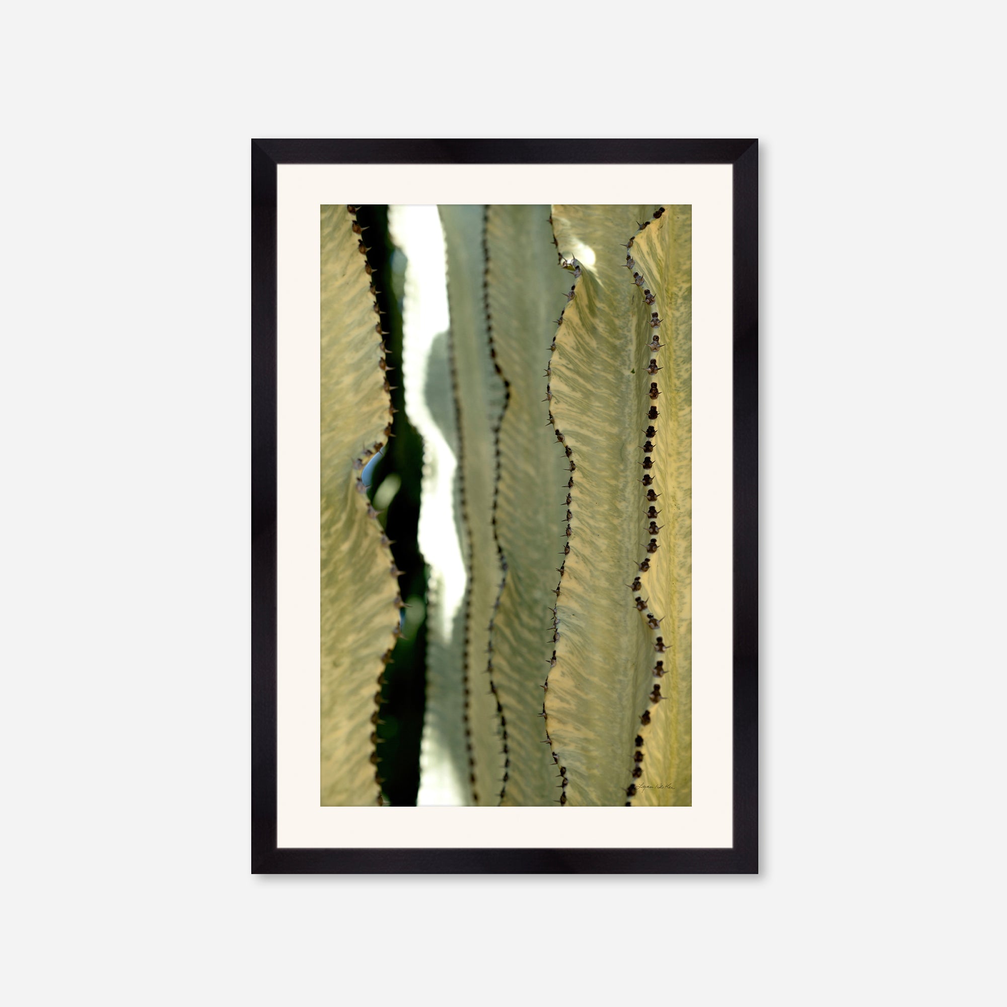 Desert Art no. 11