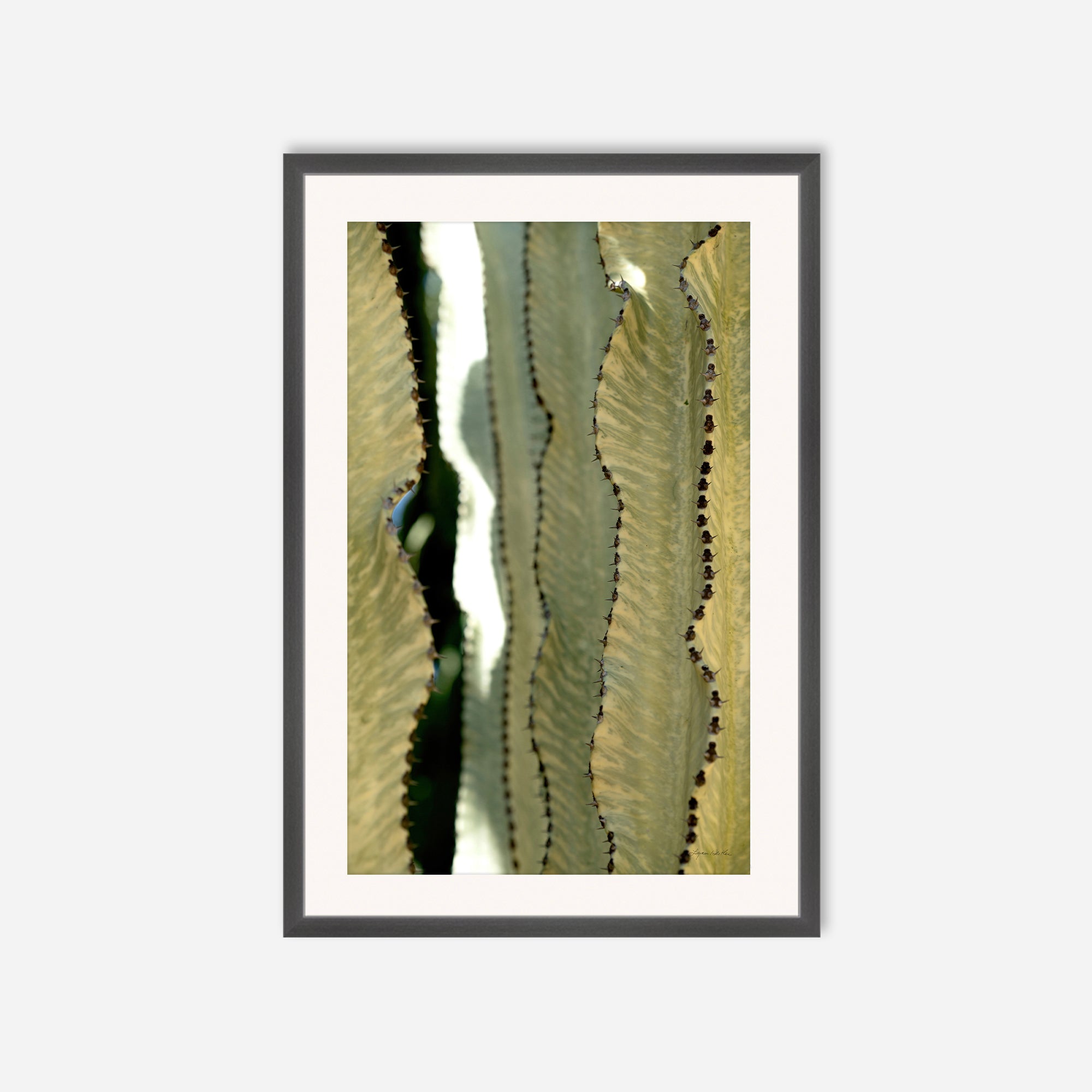 Desert Art no. 11