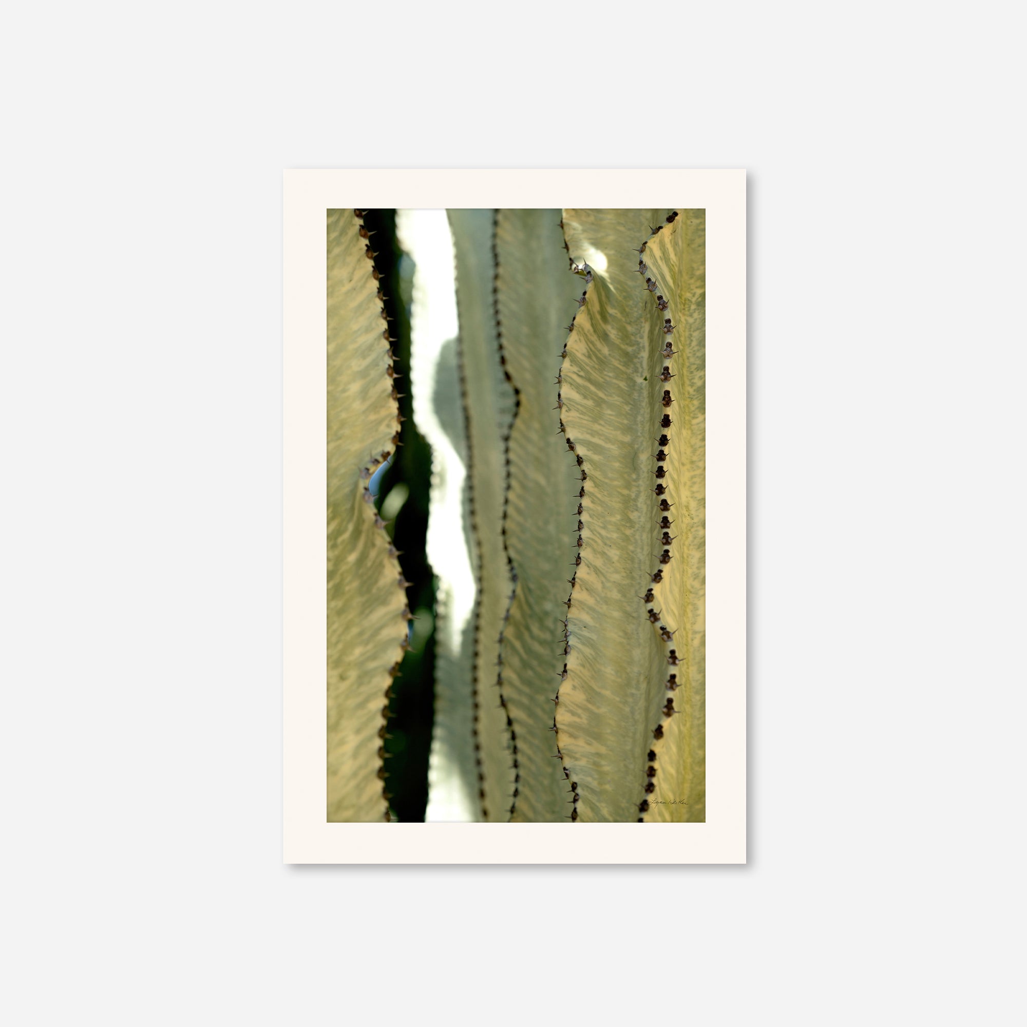 Desert Art no. 11