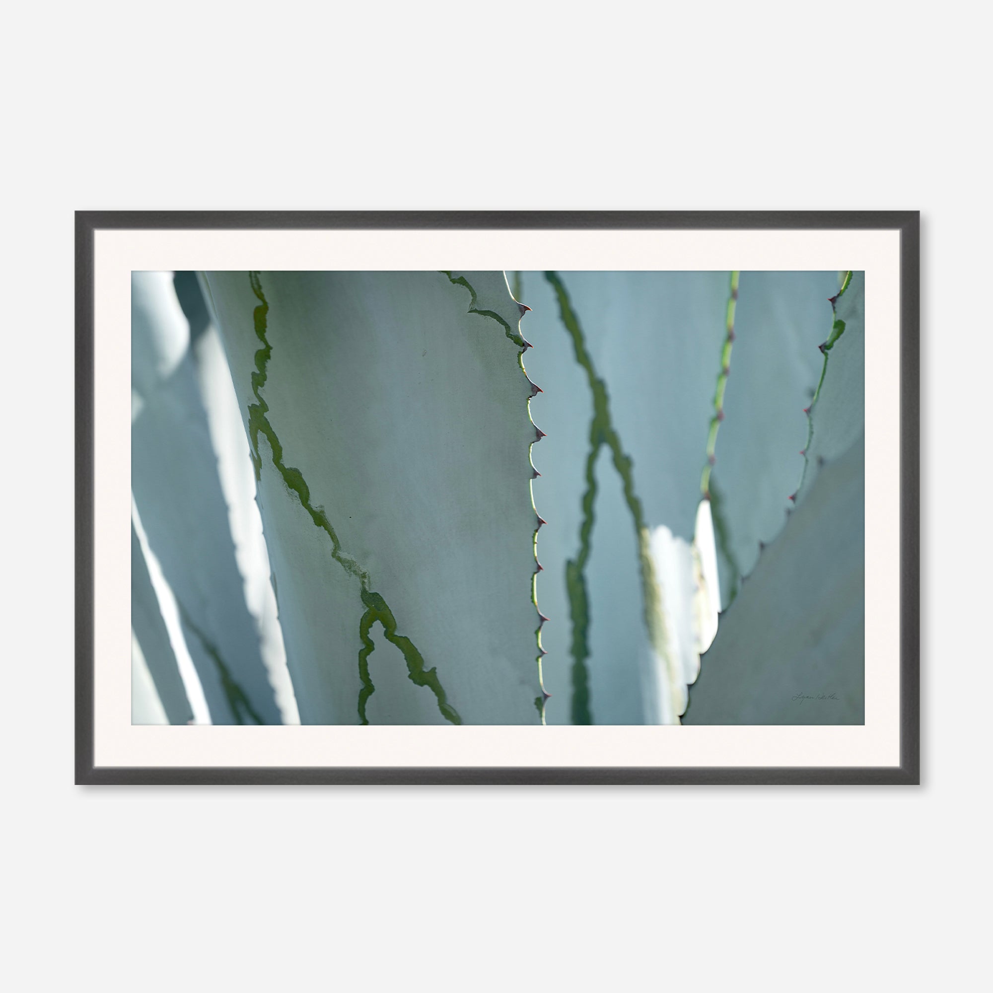 Desert Art no. 6