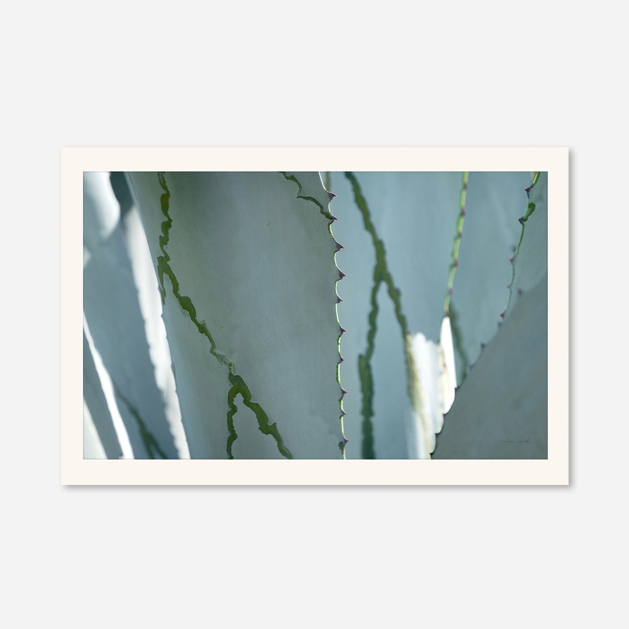 Desert Art no. 6
