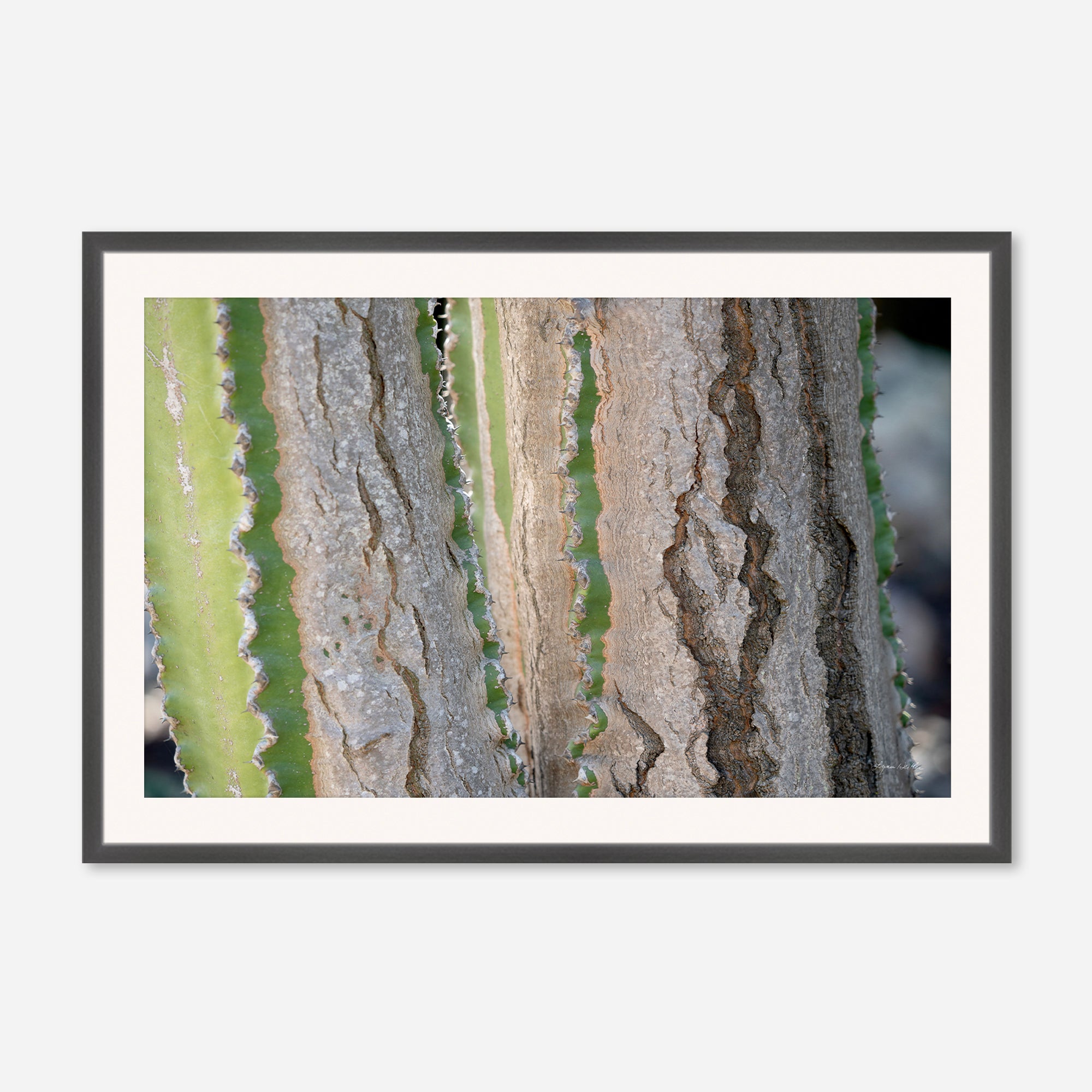 Desert Art no. 12