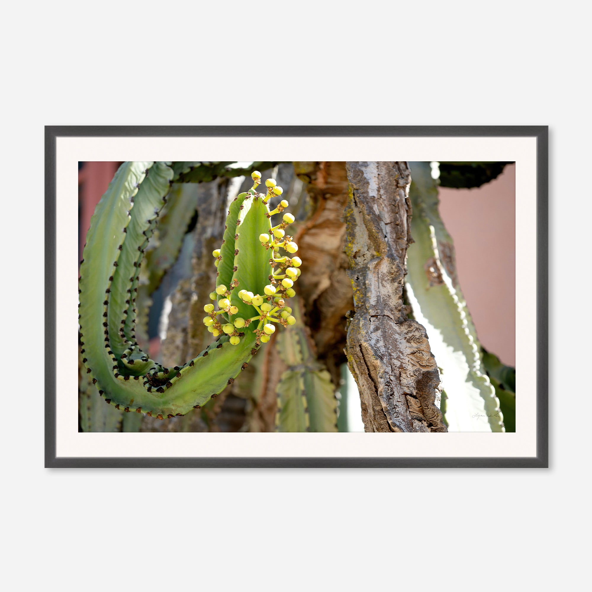 Desert Art no. 14