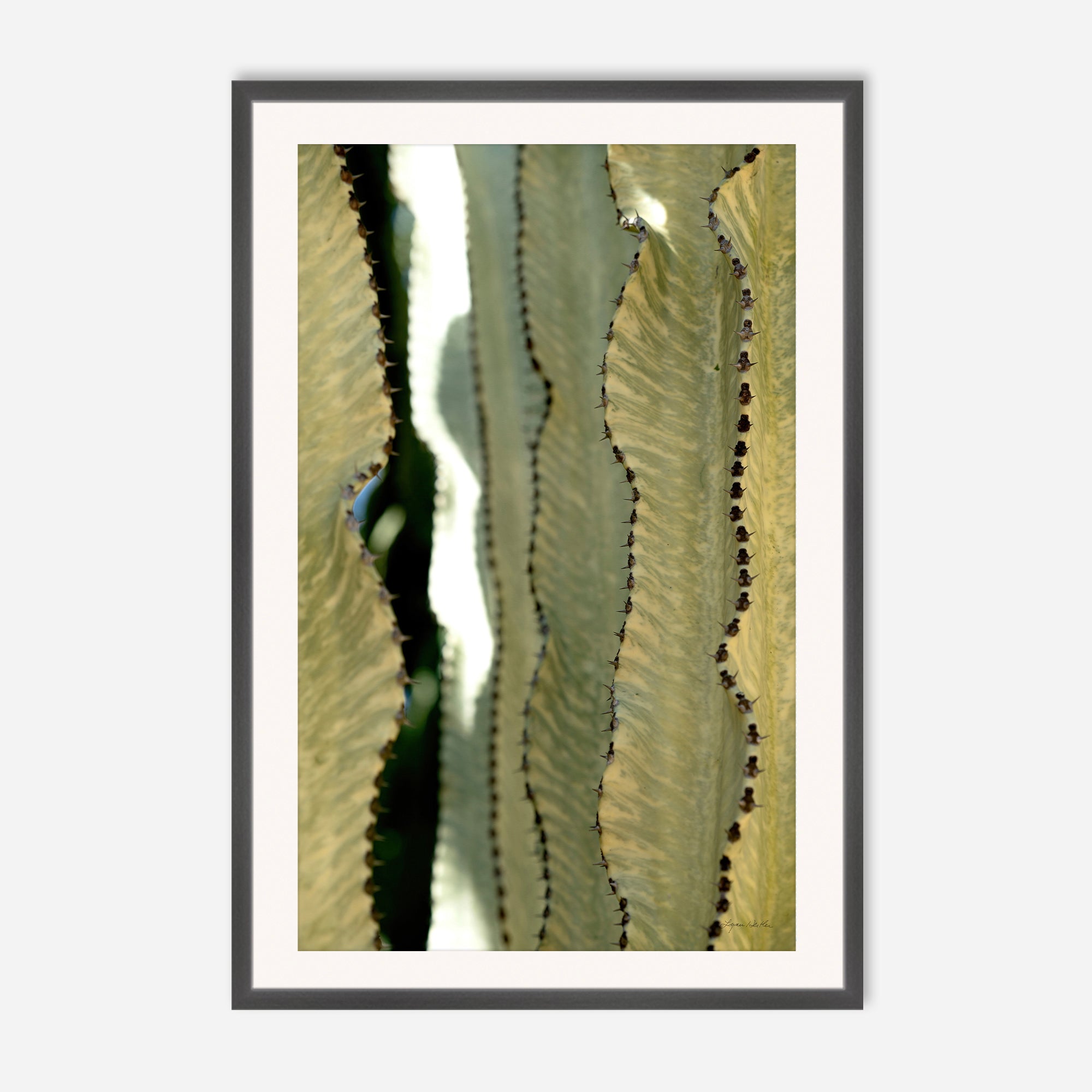 Desert Art no. 11
