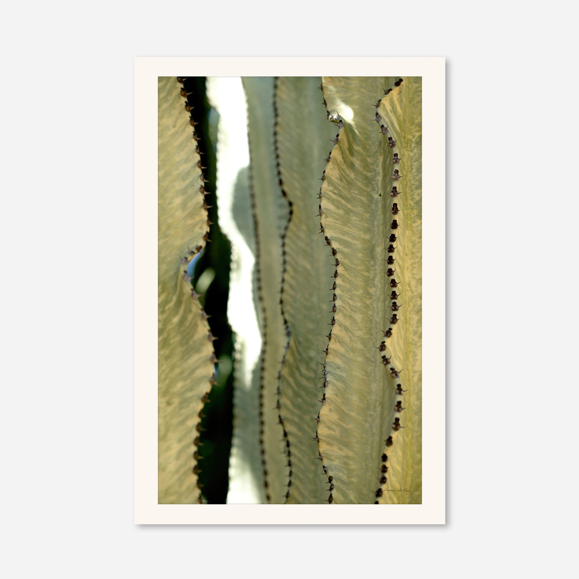 Desert Art no. 11