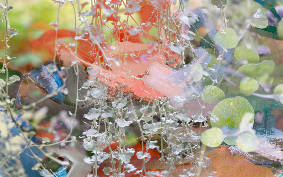 Entwined  no.1