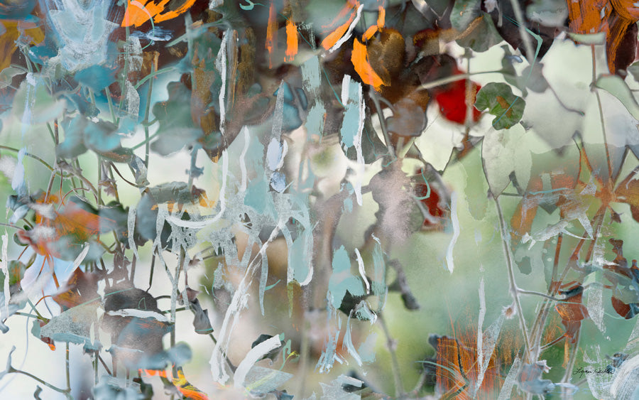Entwined  no.2