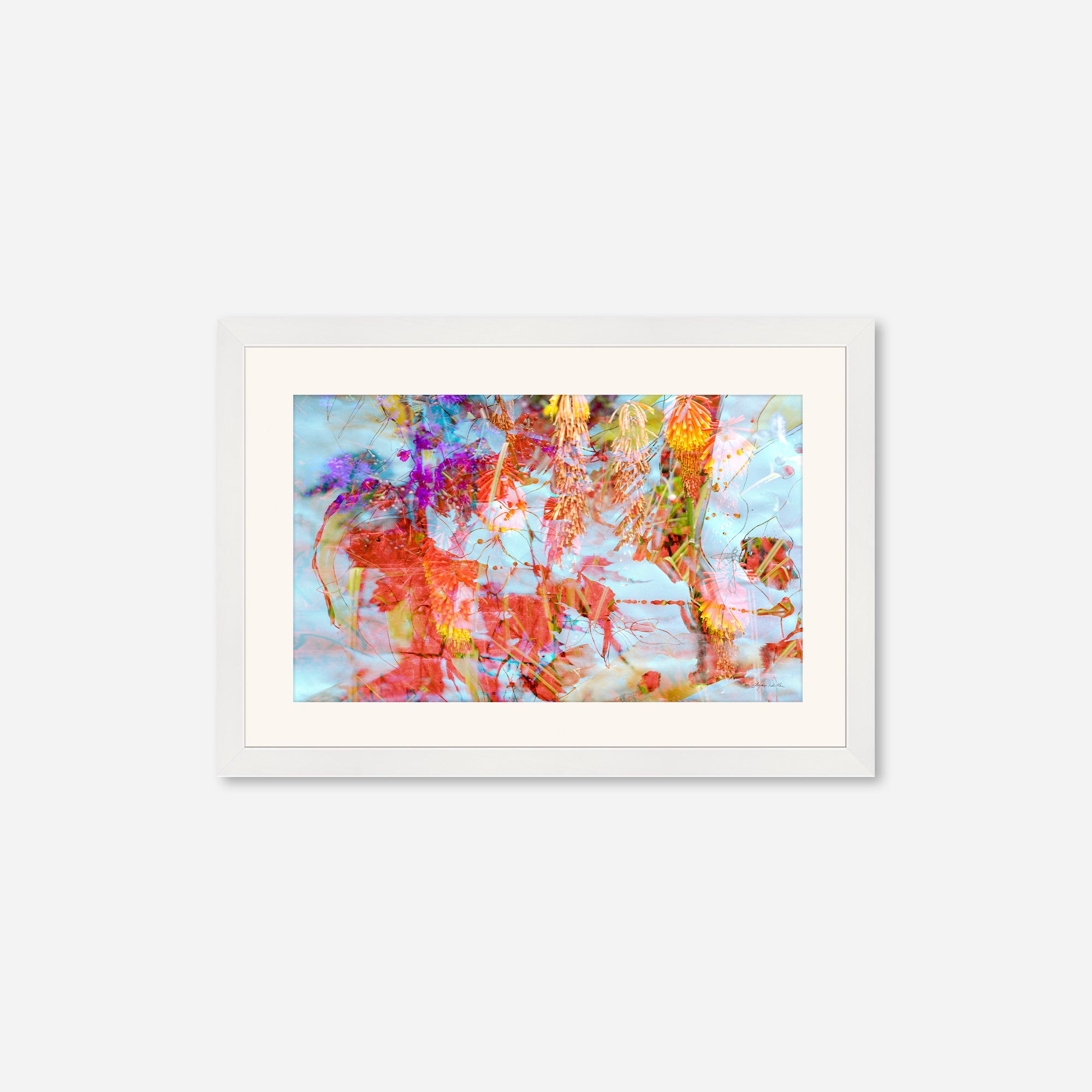 Entwined  no.3